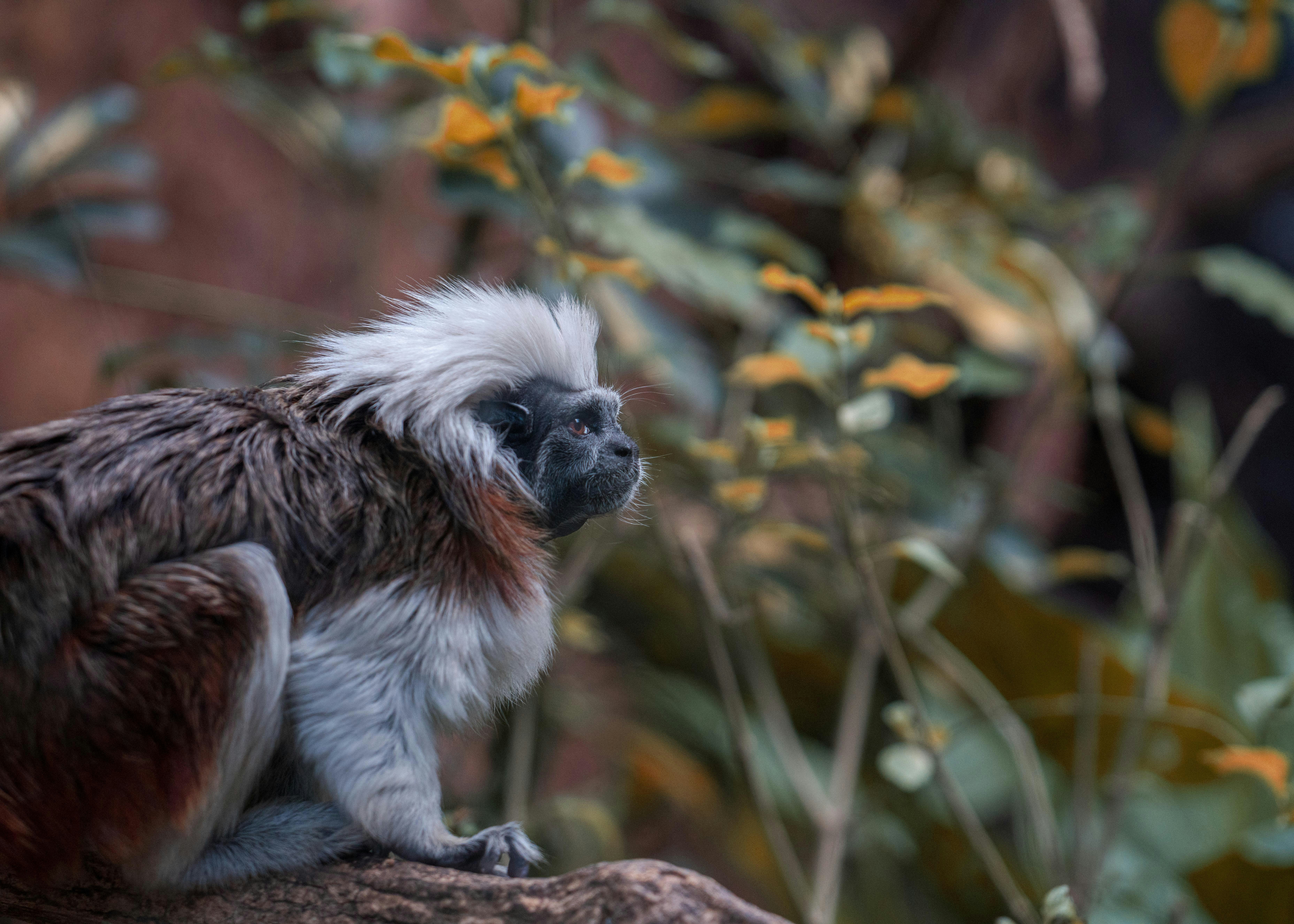 Photo by annastampfli