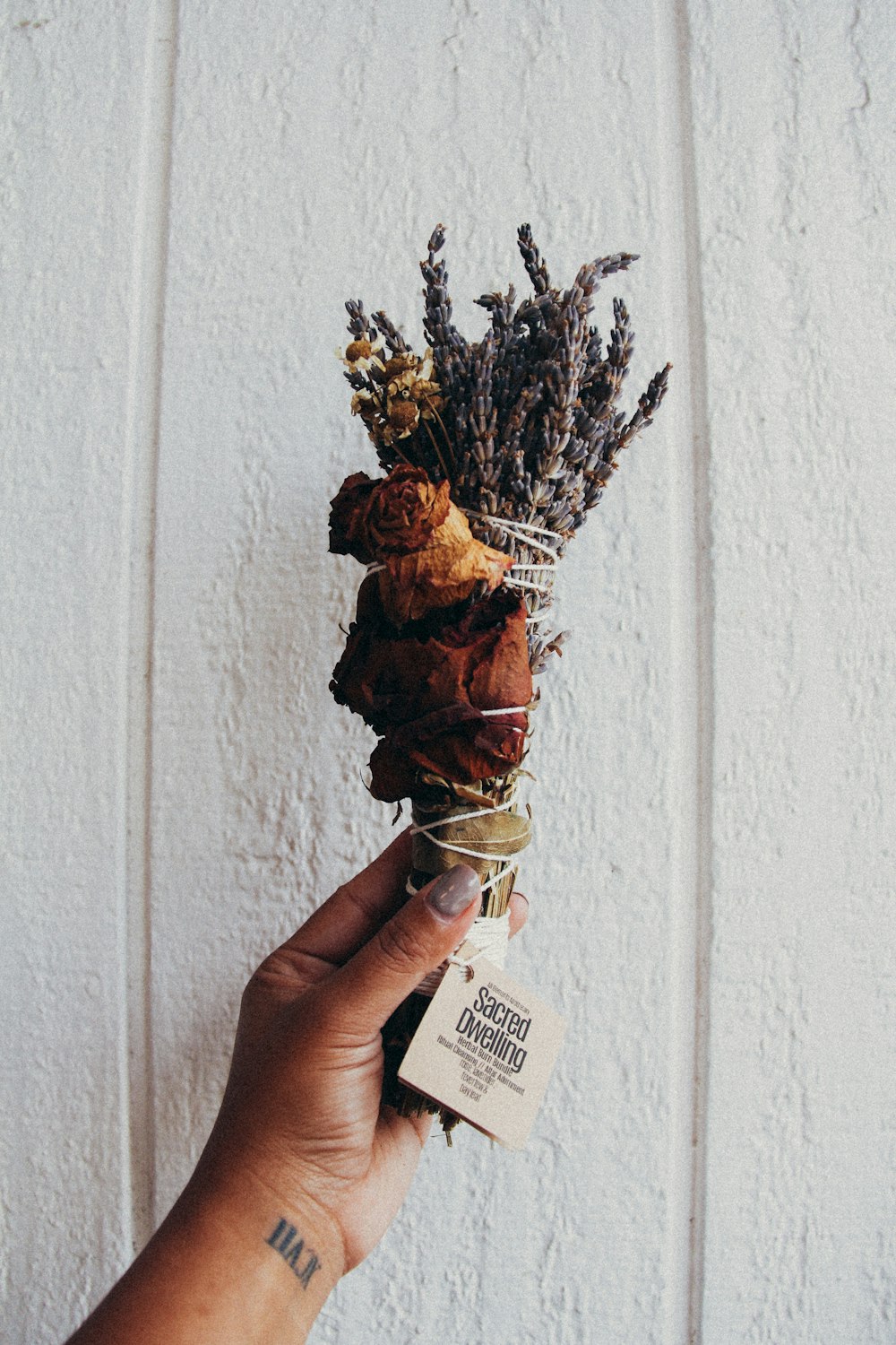 brown dried plant on white ceramic vase