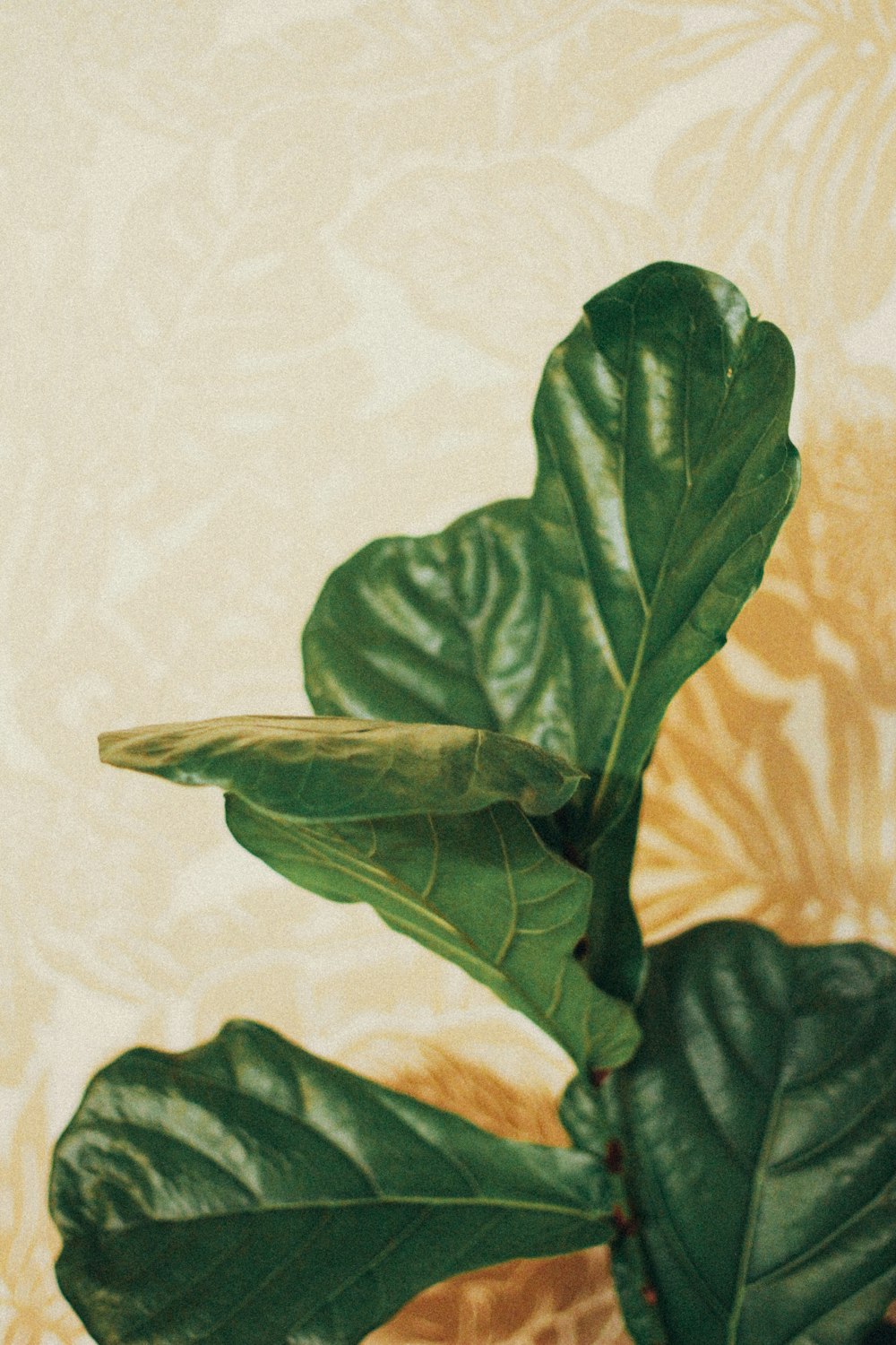 green leaves on white textile