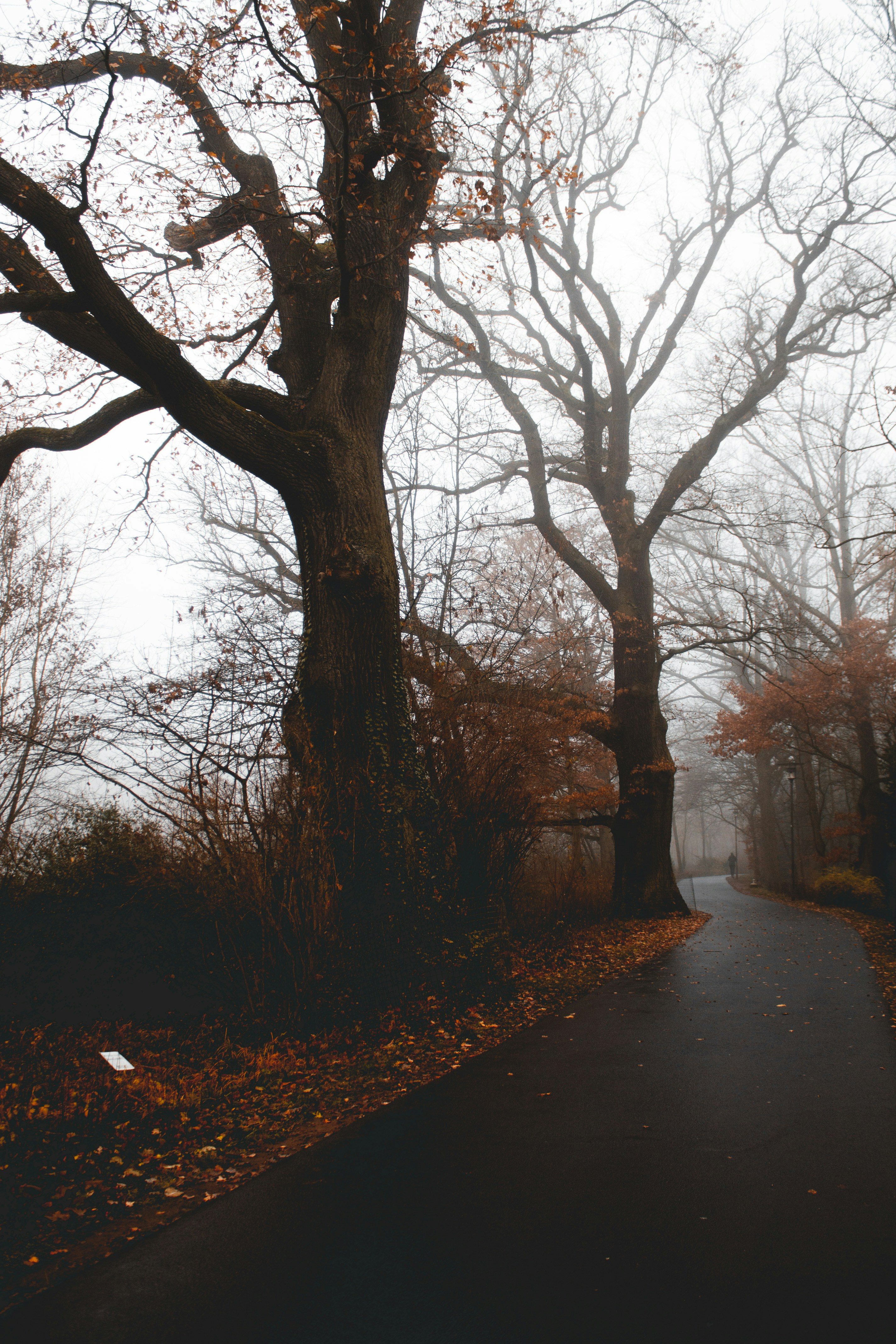 Photo by molnarmariaa