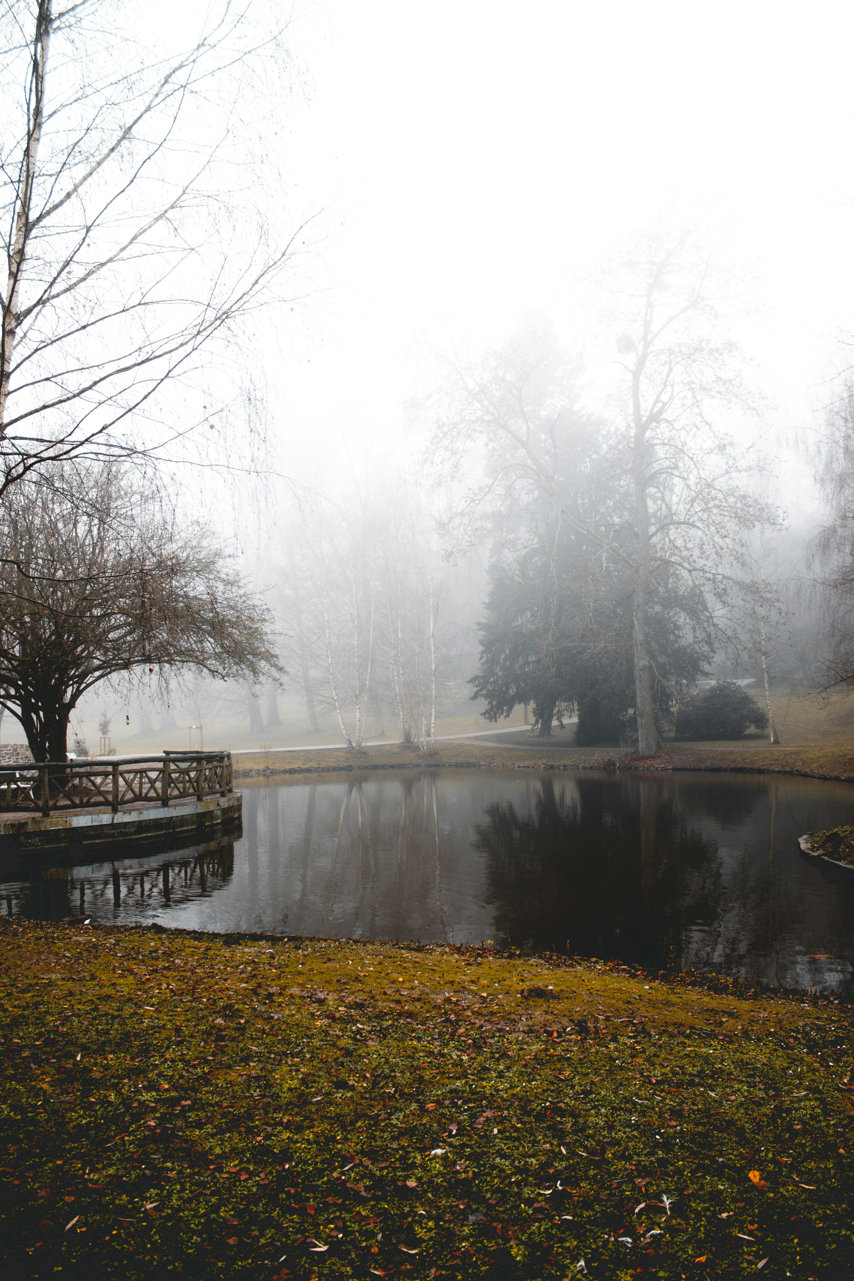 Photo by molnarmariaa