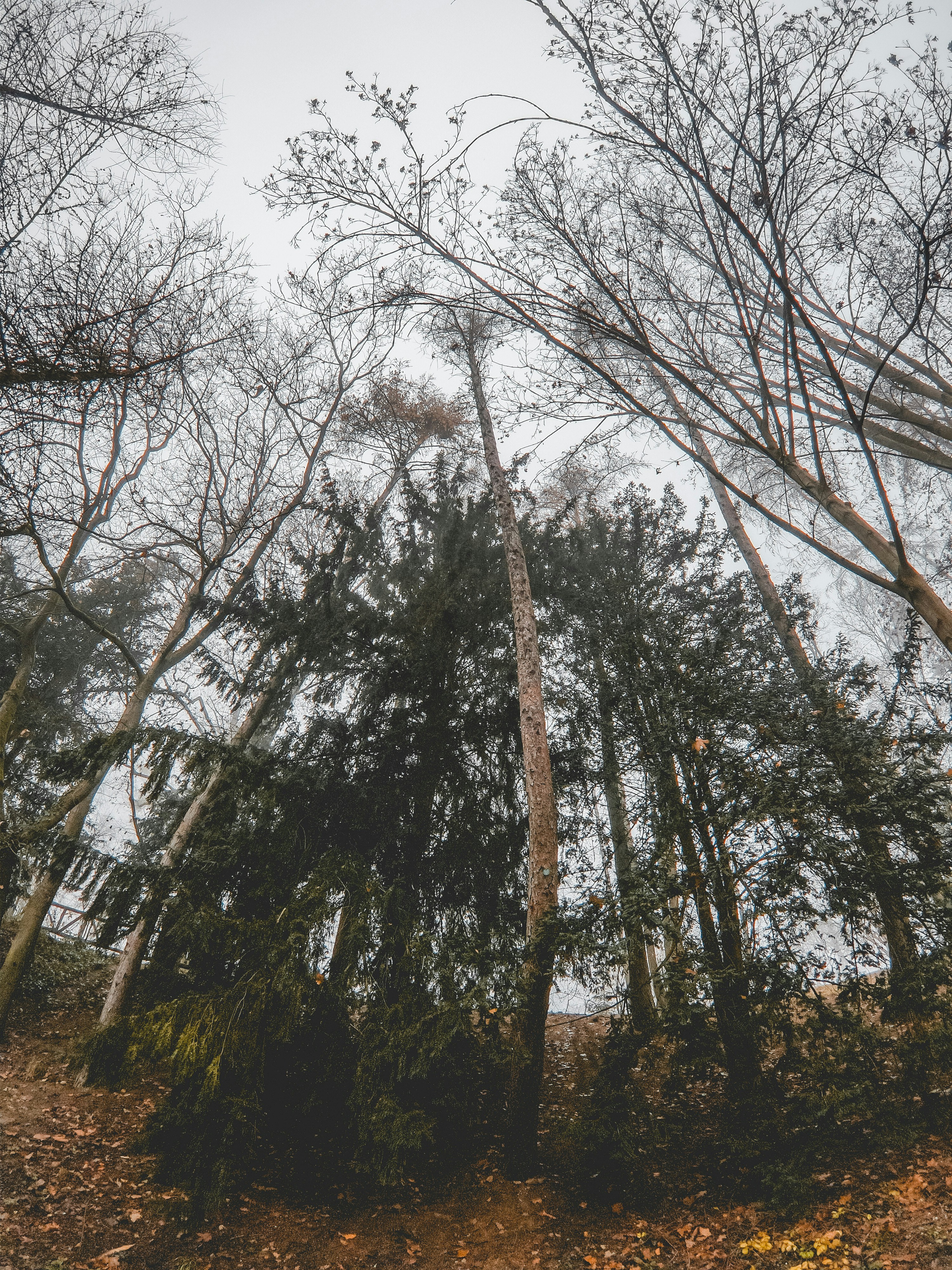 Photo by molnarmariaa