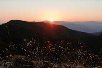 Sunset casting golden light over an open lot with wildflowers and mountain views in Altos de Villa Mancay.