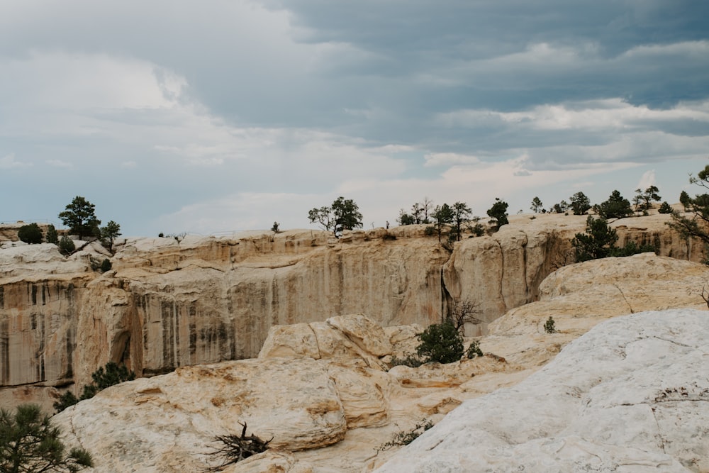 una vista di una scogliera rocciosa con alberi che crescono da esso