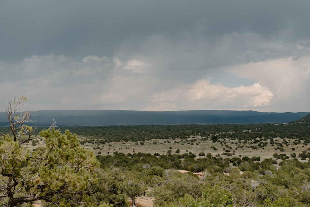 a view of a field with trees and mountains in the distance