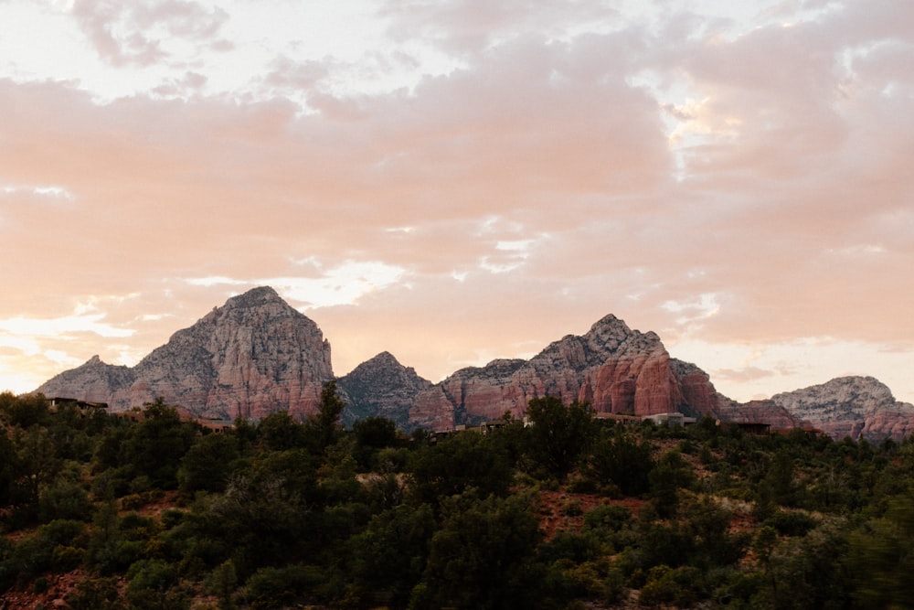 a mountain range with trees and rocks under a cloudy sky