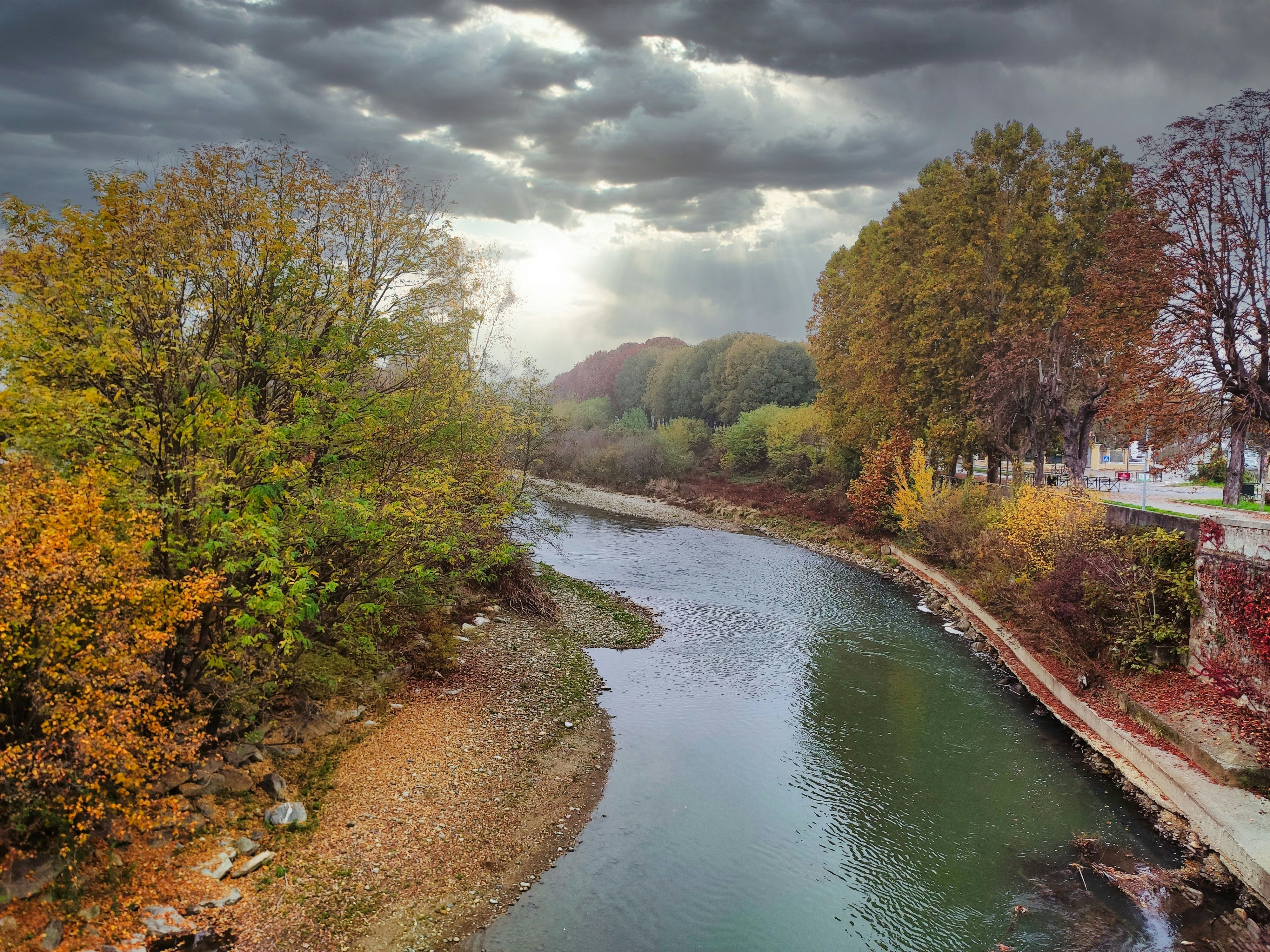 River between green and brown trees under white clouds and blue sky ...
