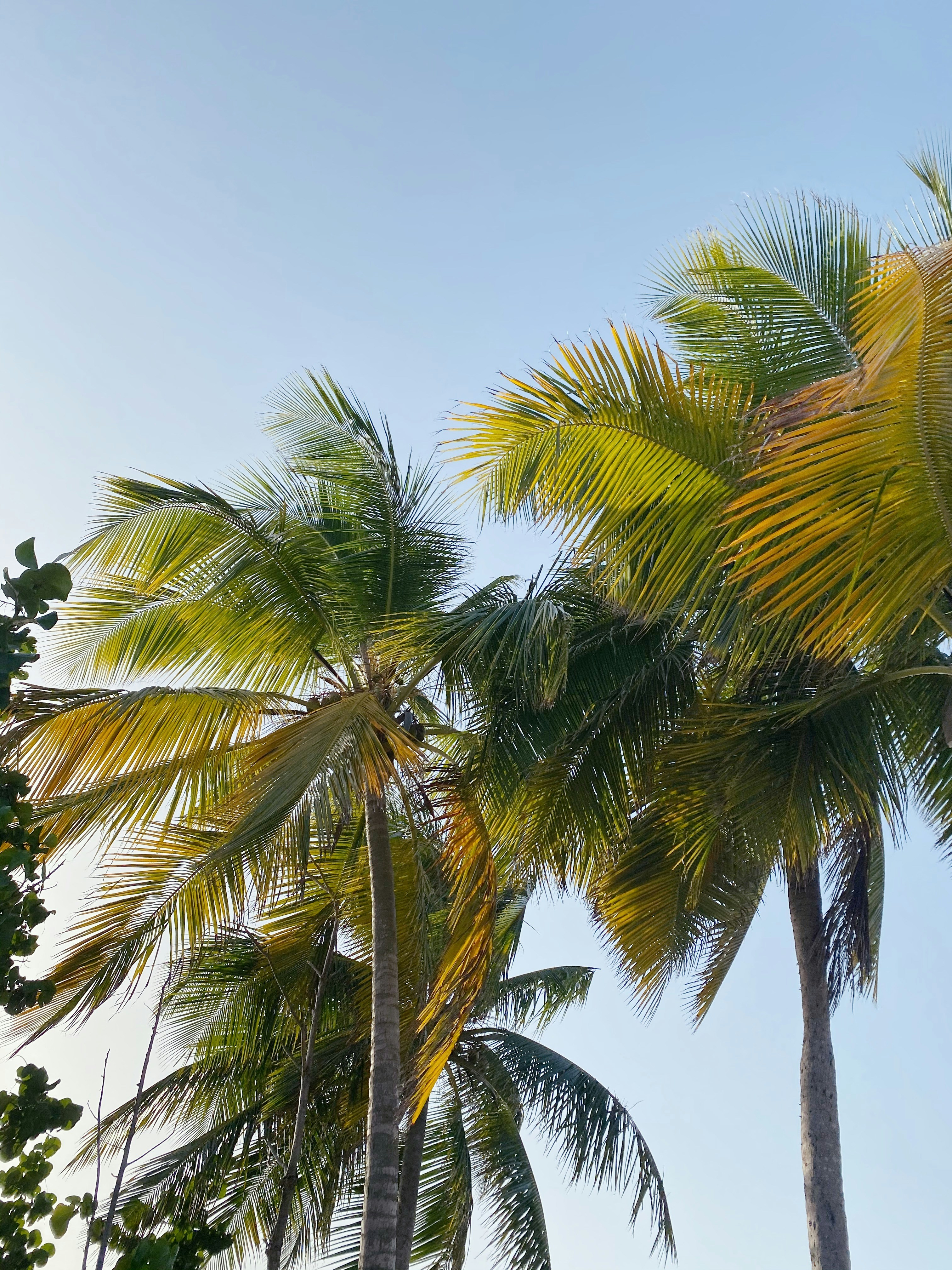 Photo by ruthhmuniz3