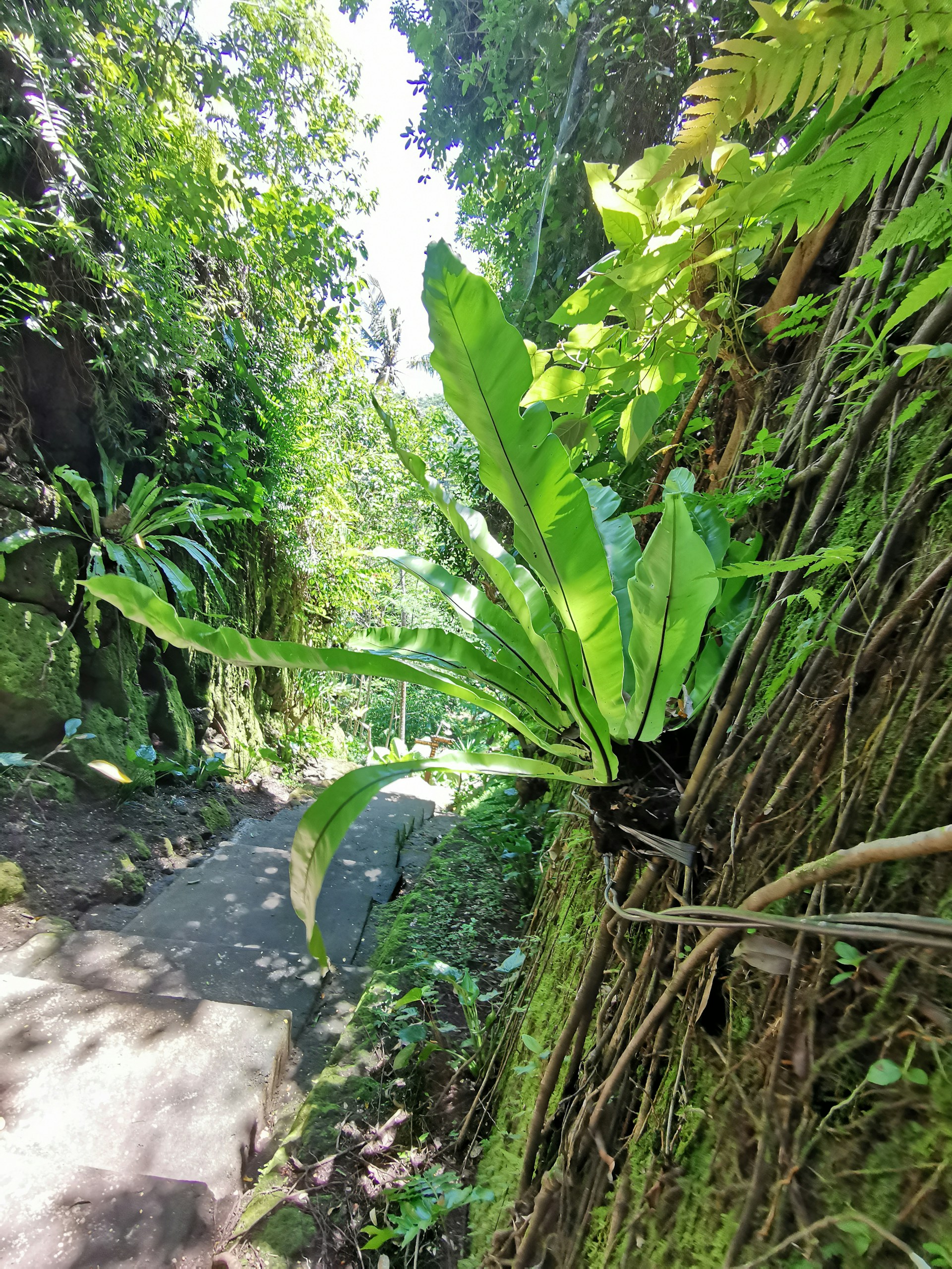 gray computer monitor