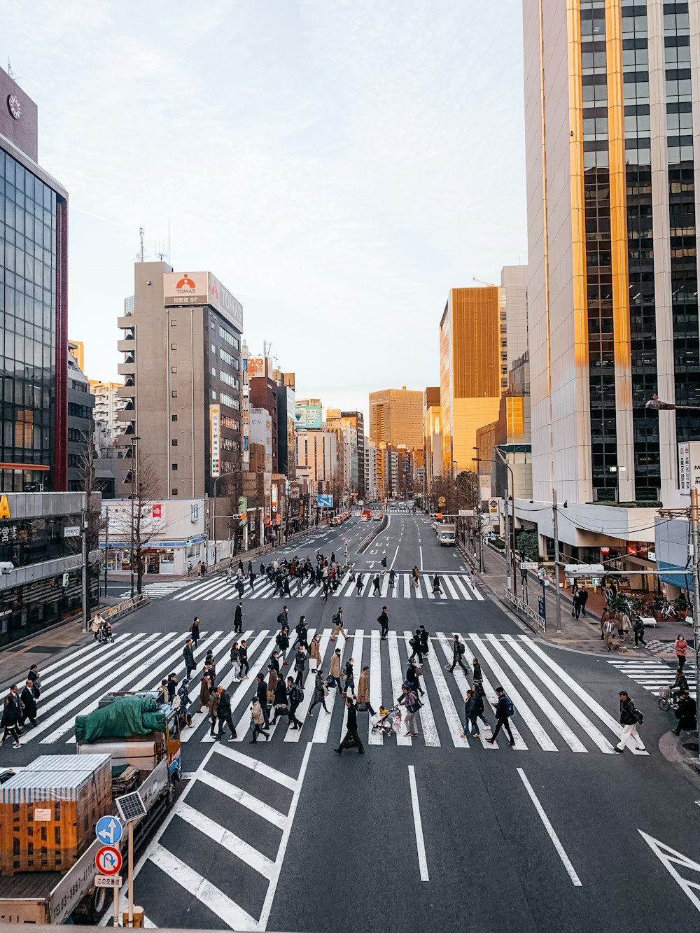 people walking on pedestrian lane during daytime