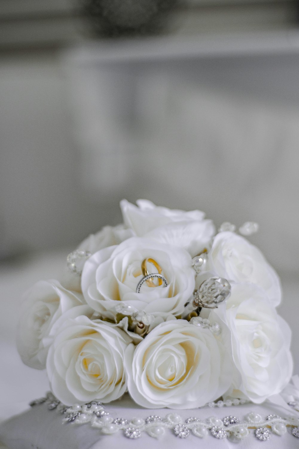 white rose in close up photography