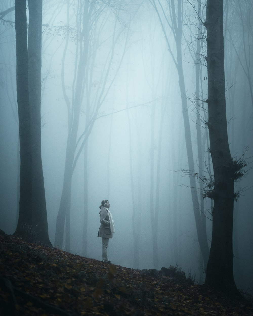 person in white jacket standing on brown dried leaves during daytime