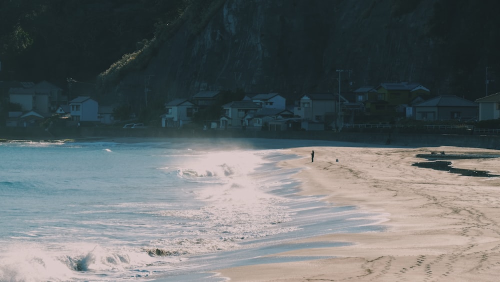 people on beach during daytime