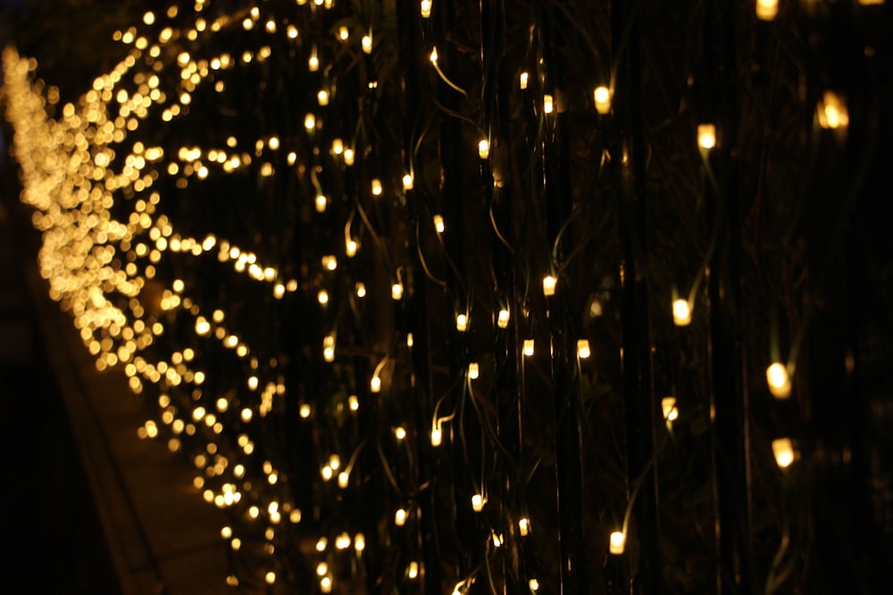 Guirlandes lumineuses jaunes sur mur noir