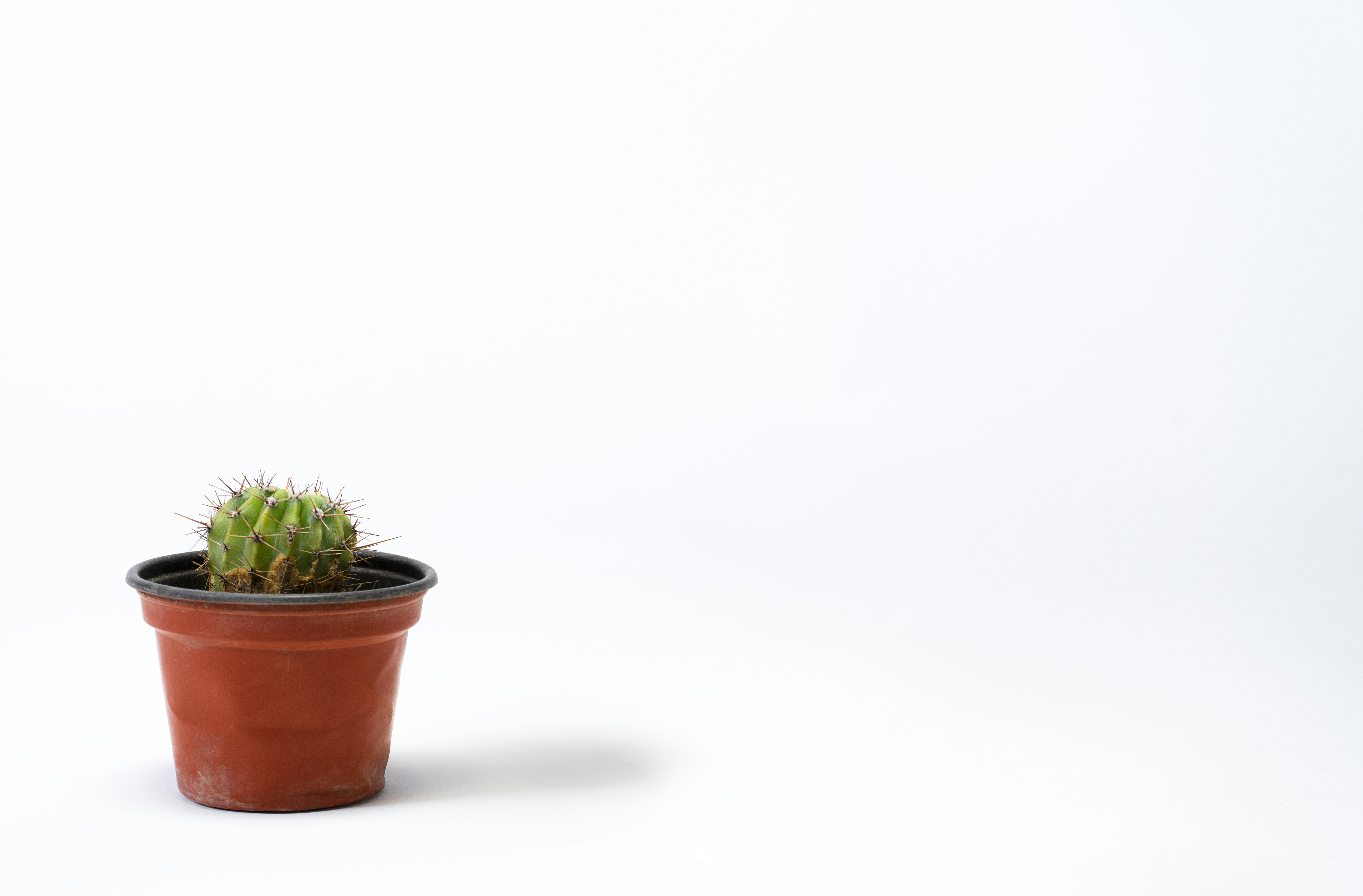 Photo by ediegosanchez