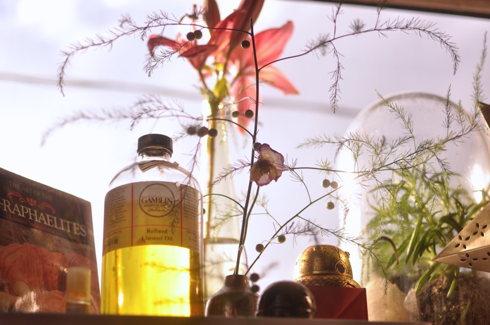 3 glass bottles on brown wooden table