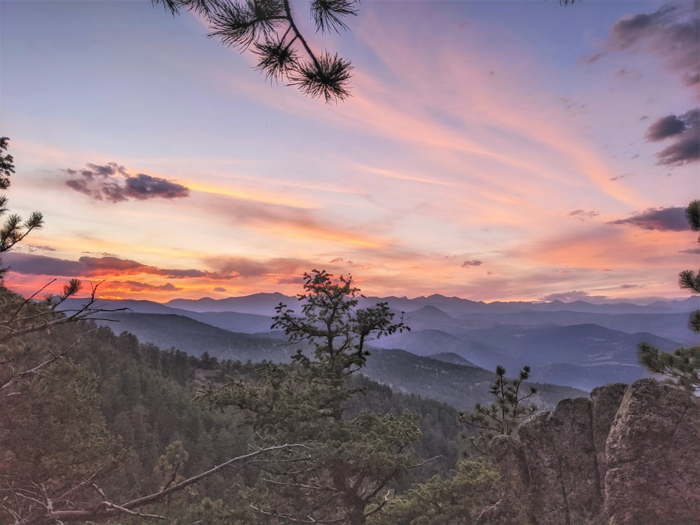 green trees on mountain during sunset