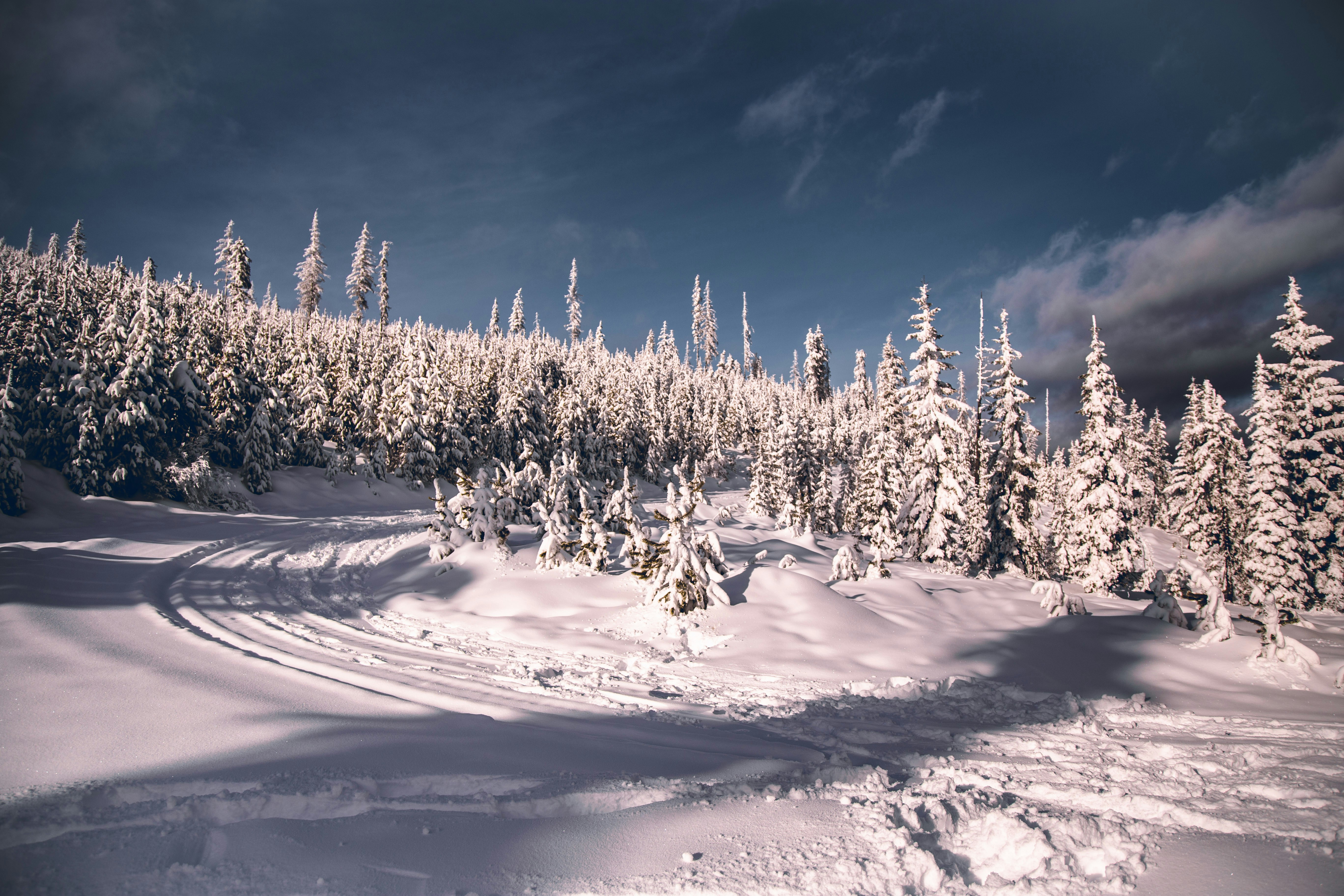 Photo by matthewelancaster