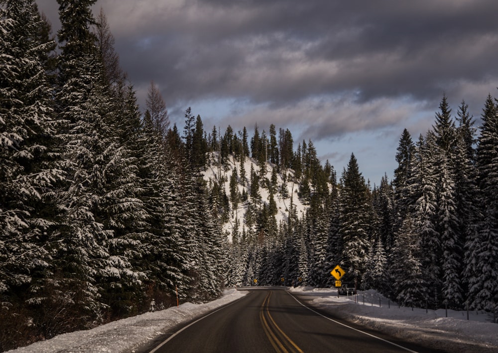 black car on road between trees under cloudy sky during daytime