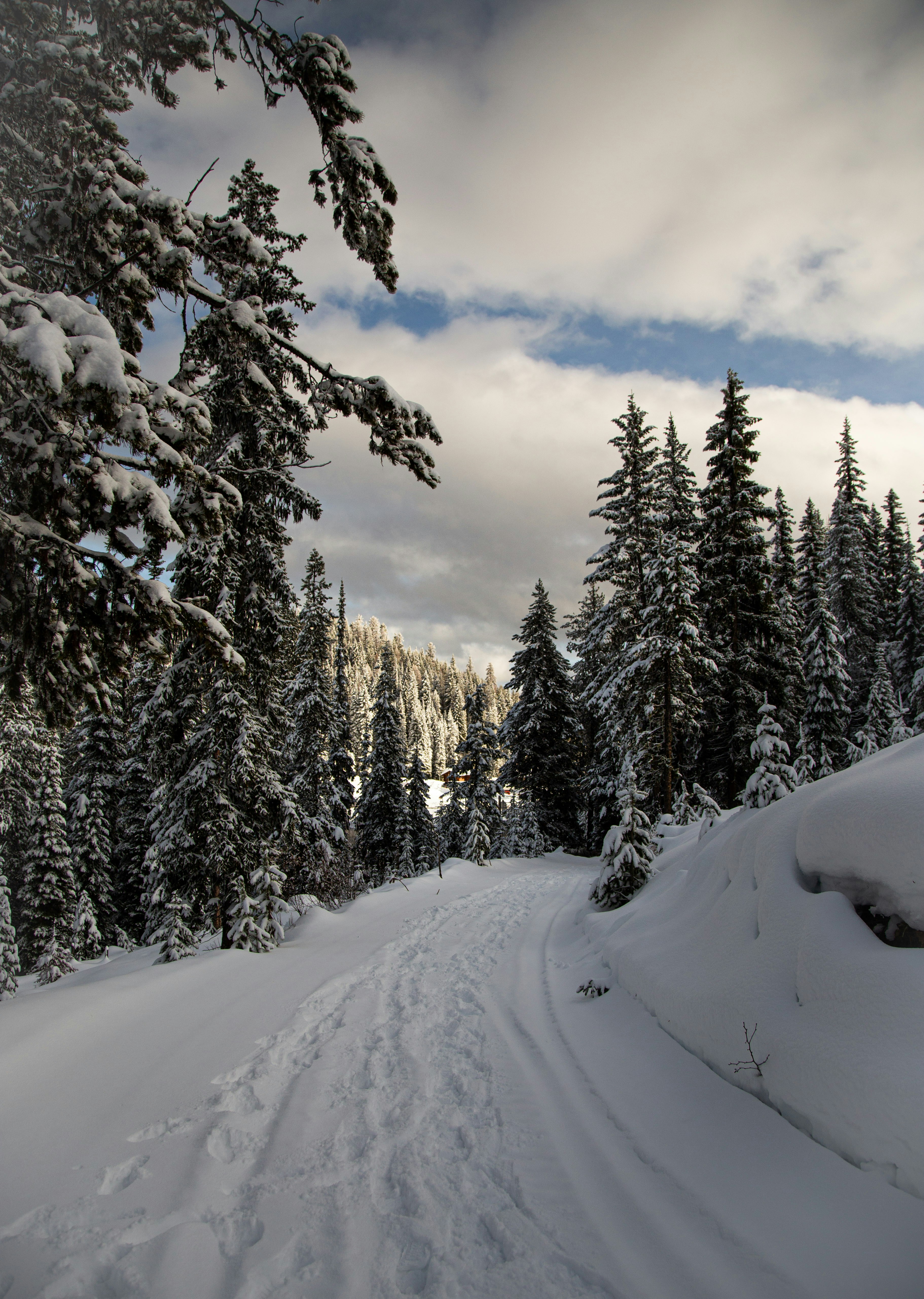 Photo by matthewelancaster