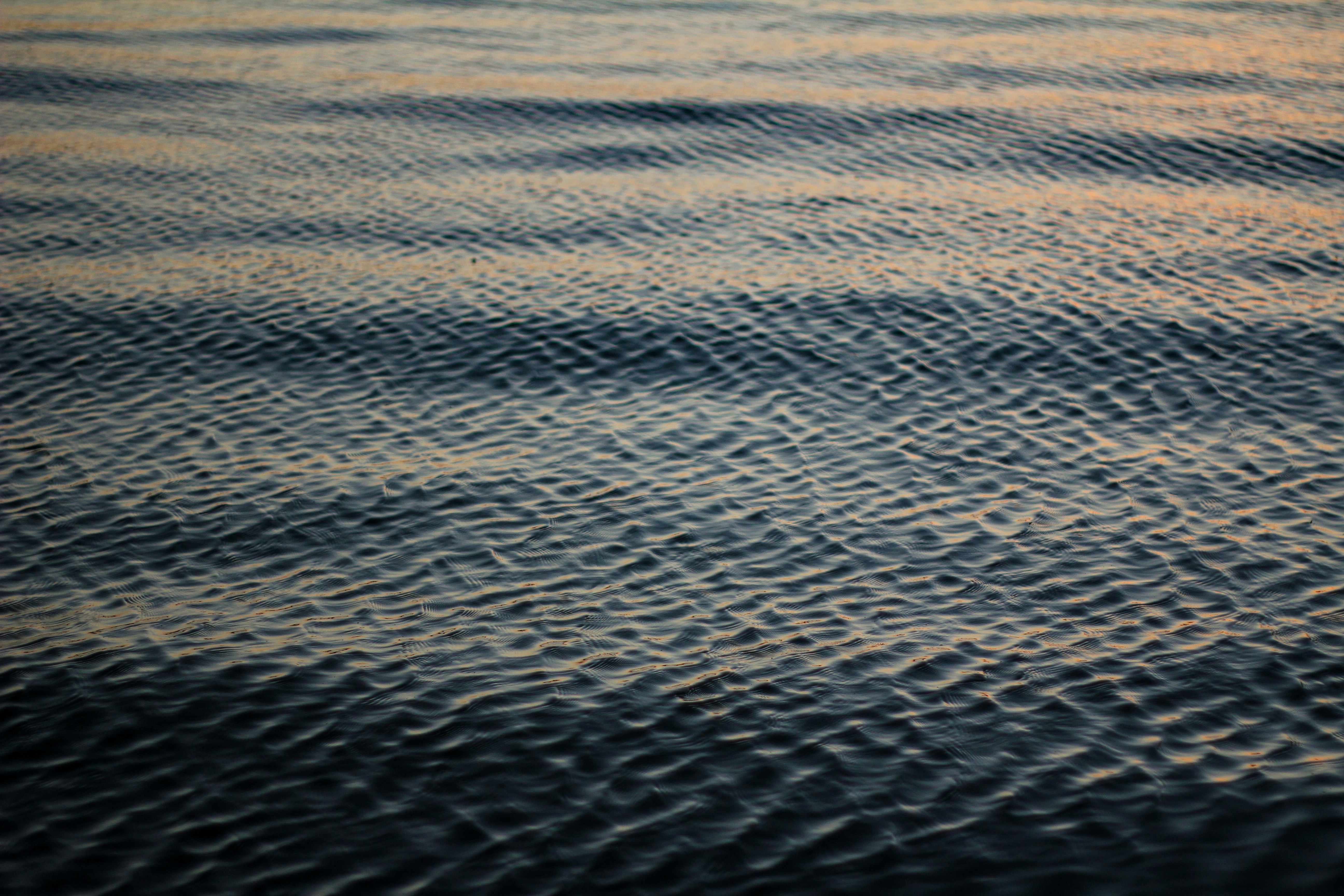 Photo by kindandcurious