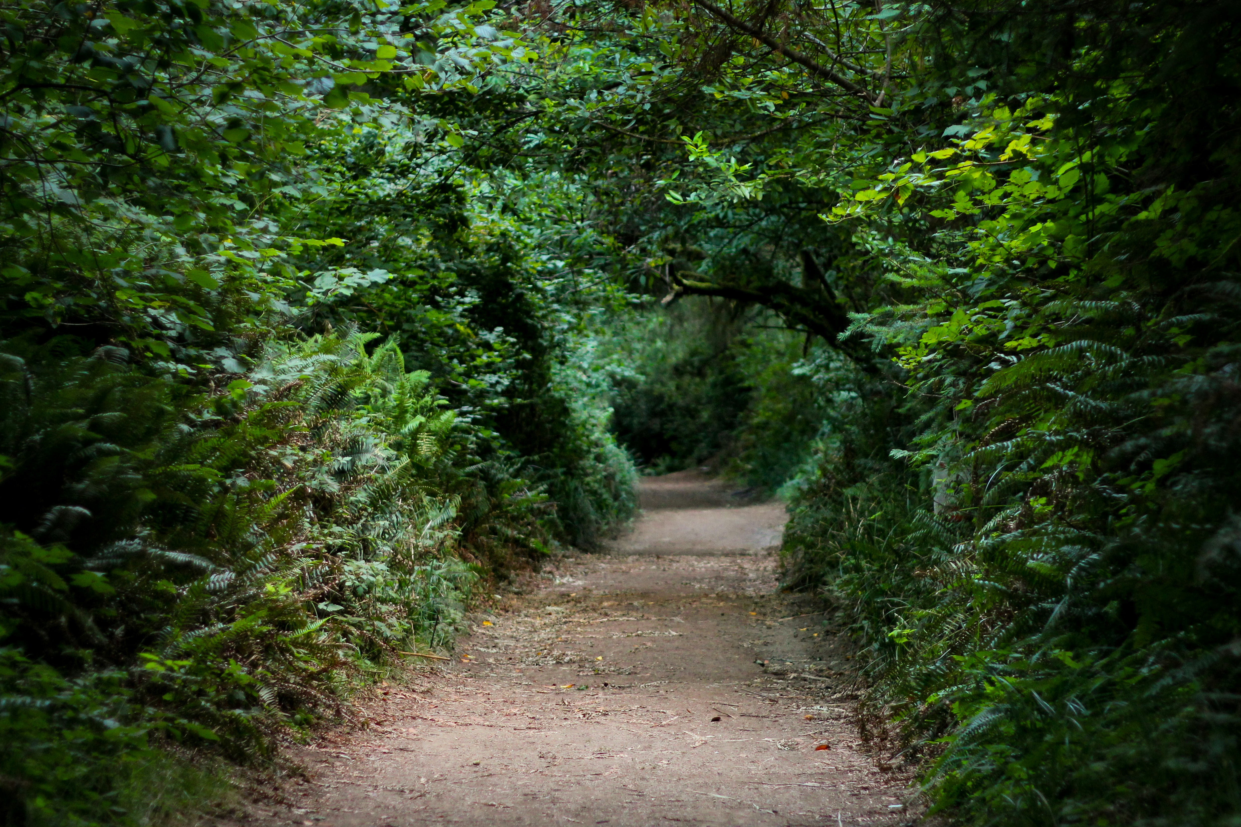 Photo by kindandcurious