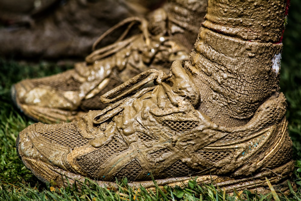 brown hiking shoe on green grass