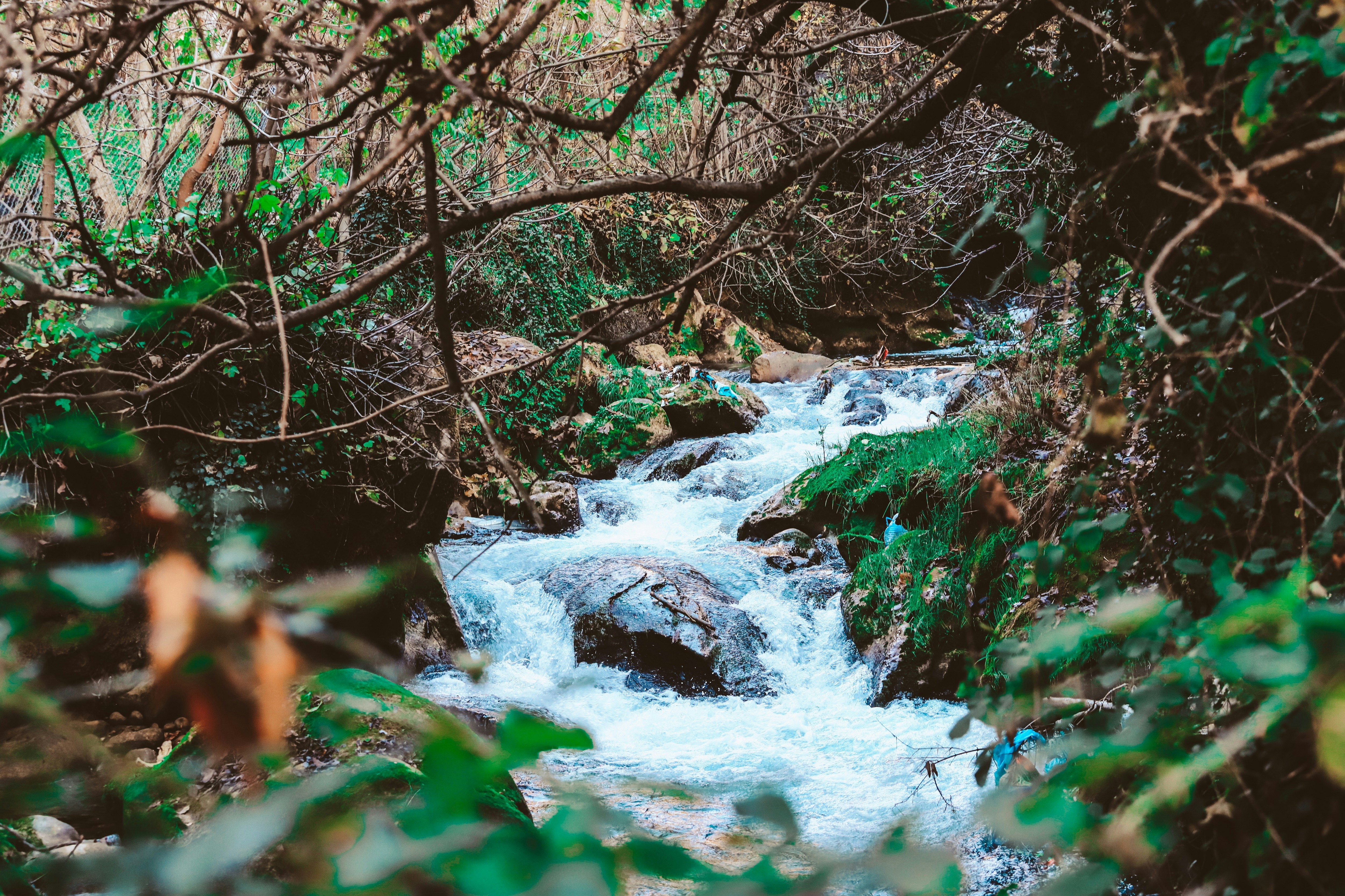 Photo by zrngngharib