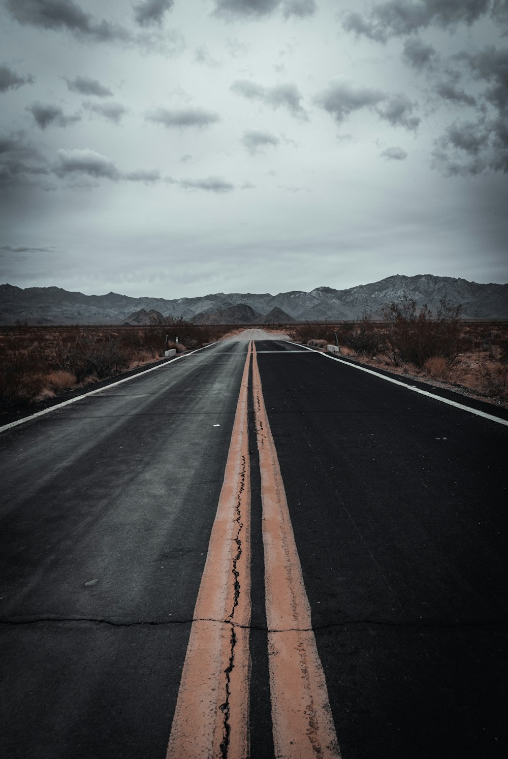 black asphalt road between brown trees under white cloudy sky during daytime