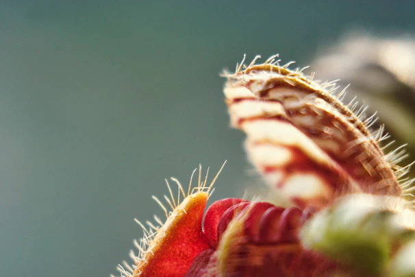 A close-up of a researcher carefully examining a plant specimen under a microscope in a bright lab.