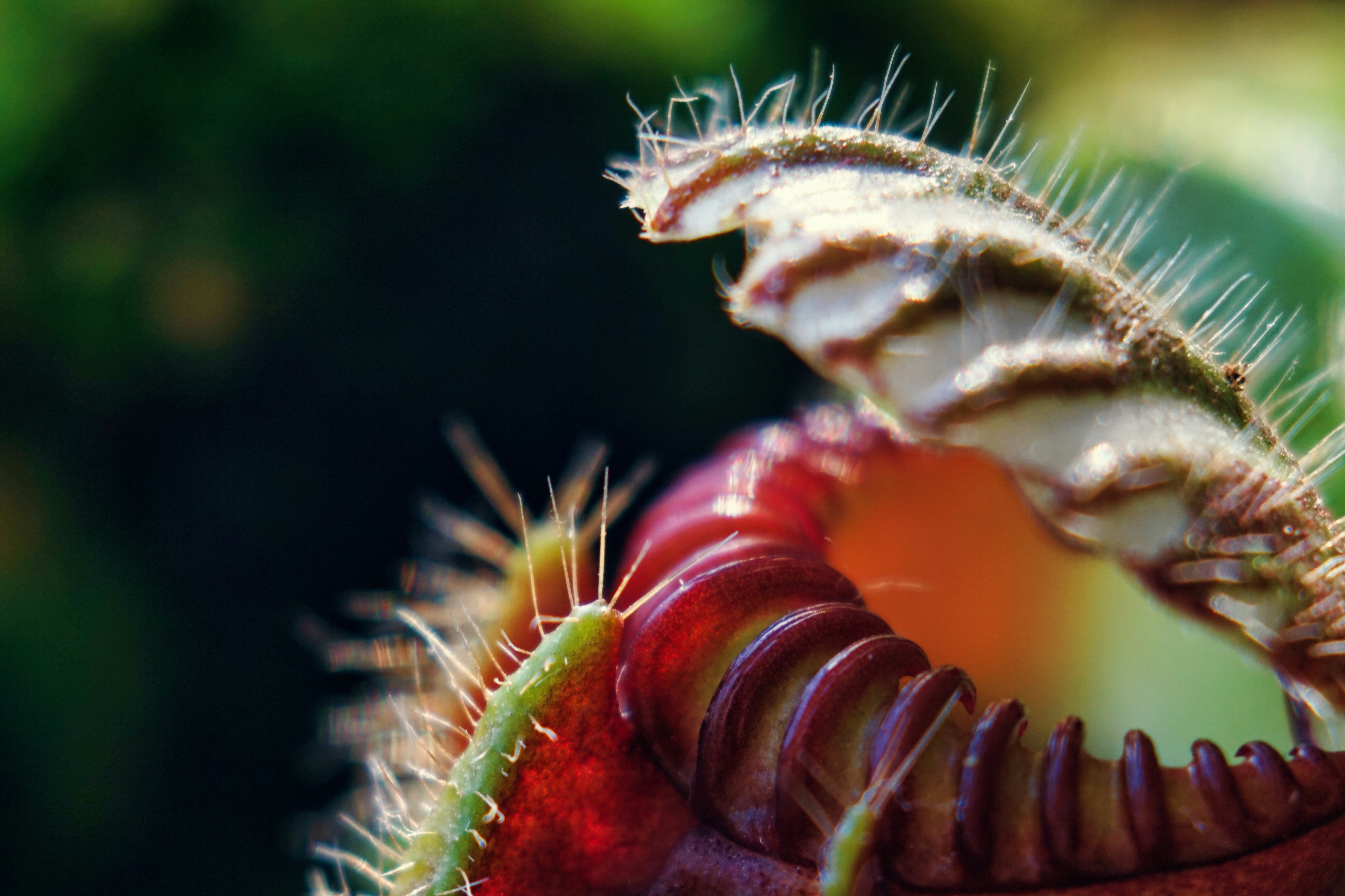 Photo by thomaskinto