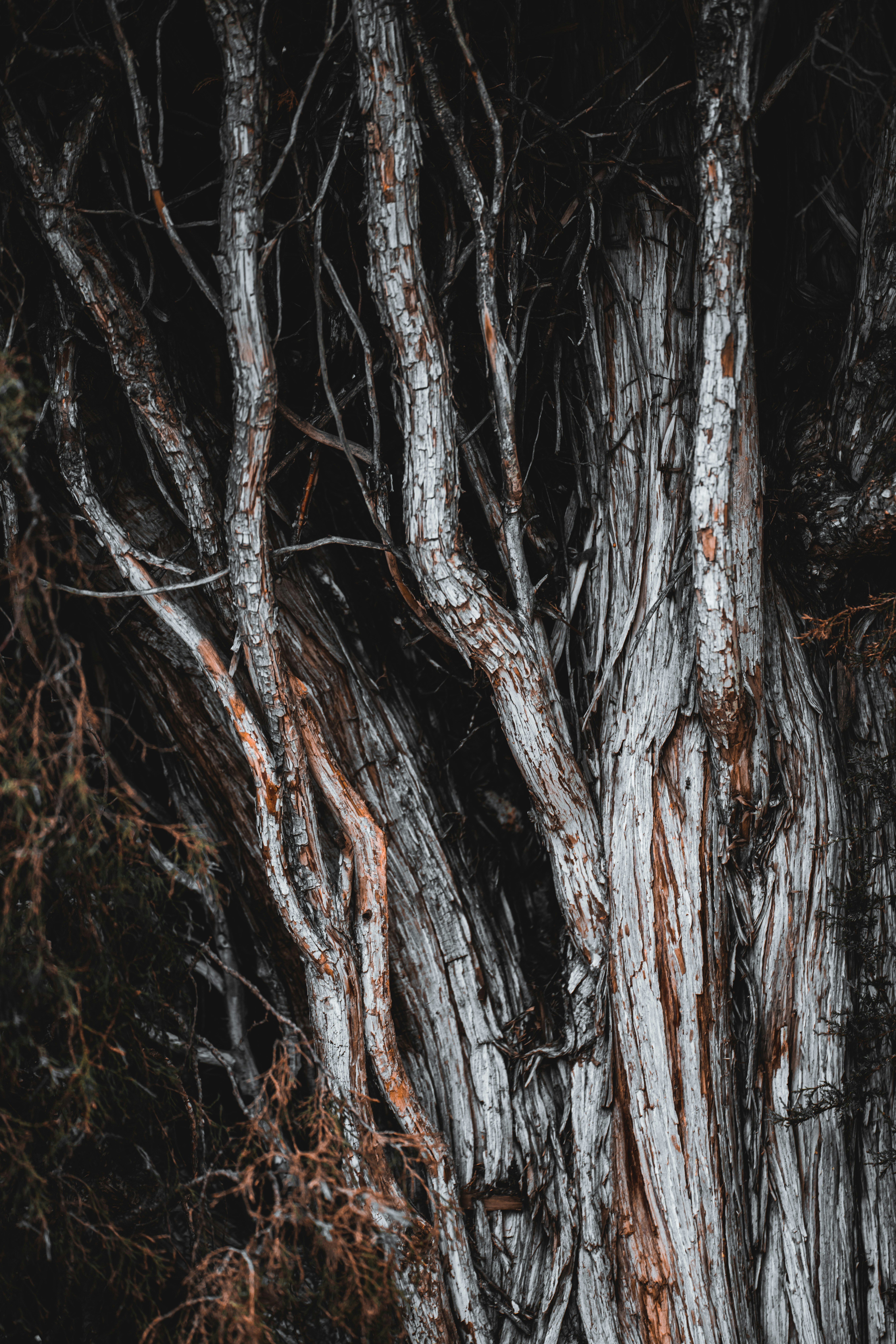 Photo by itworkonline