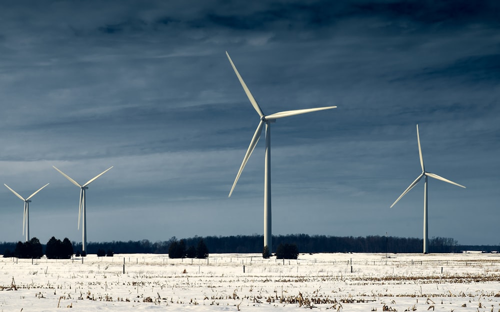 turbinas eólicas blancas en el campo bajo el cielo azul durante el día