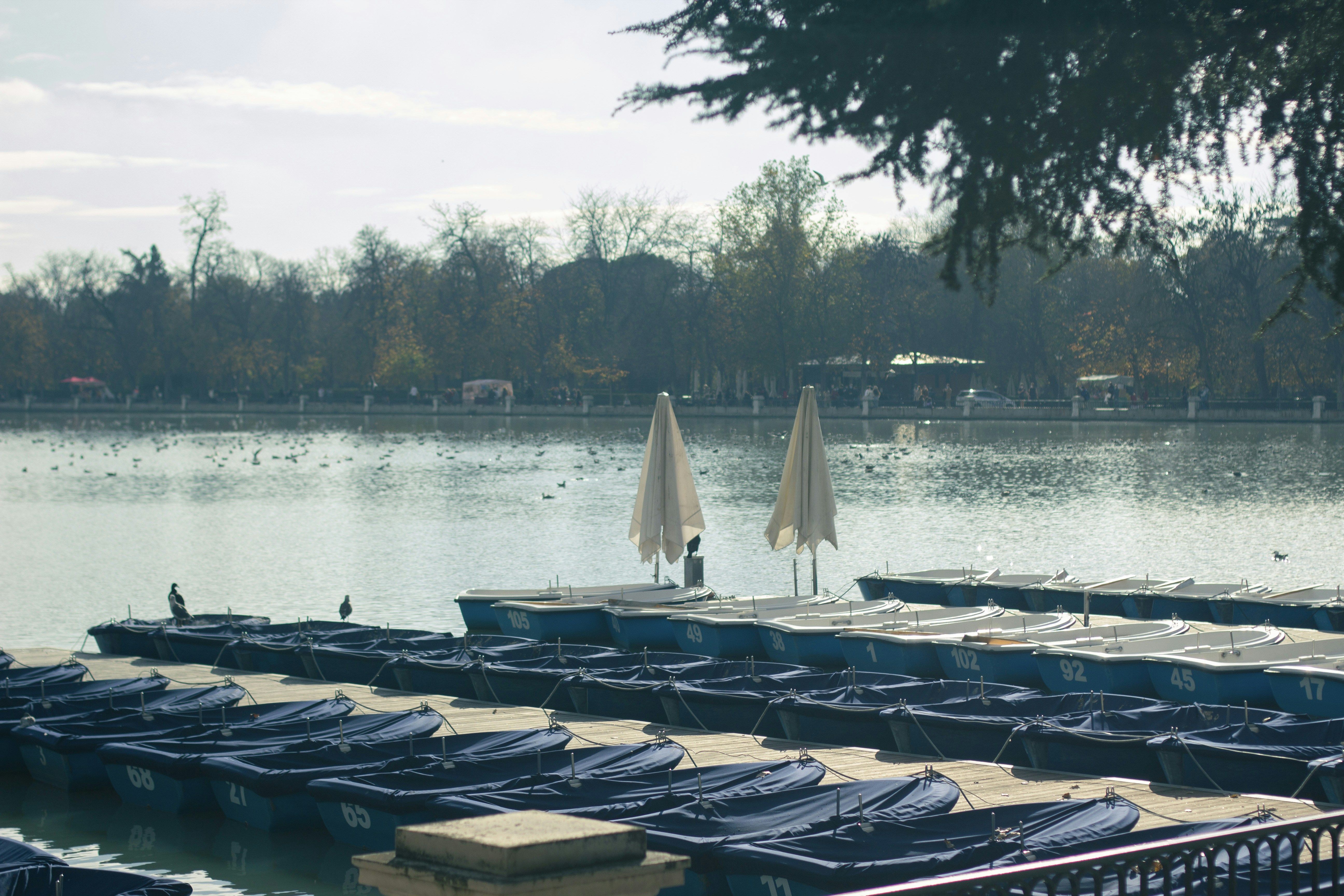 Estanque Parque El Retiro, Madrid, España.