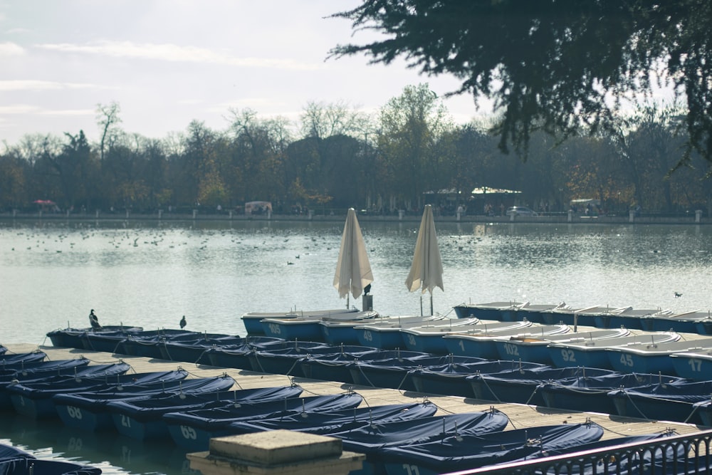 blue and white boats on dock during daytime