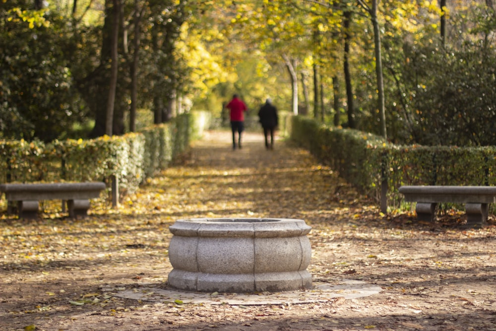 2 people walking on pathway during daytime