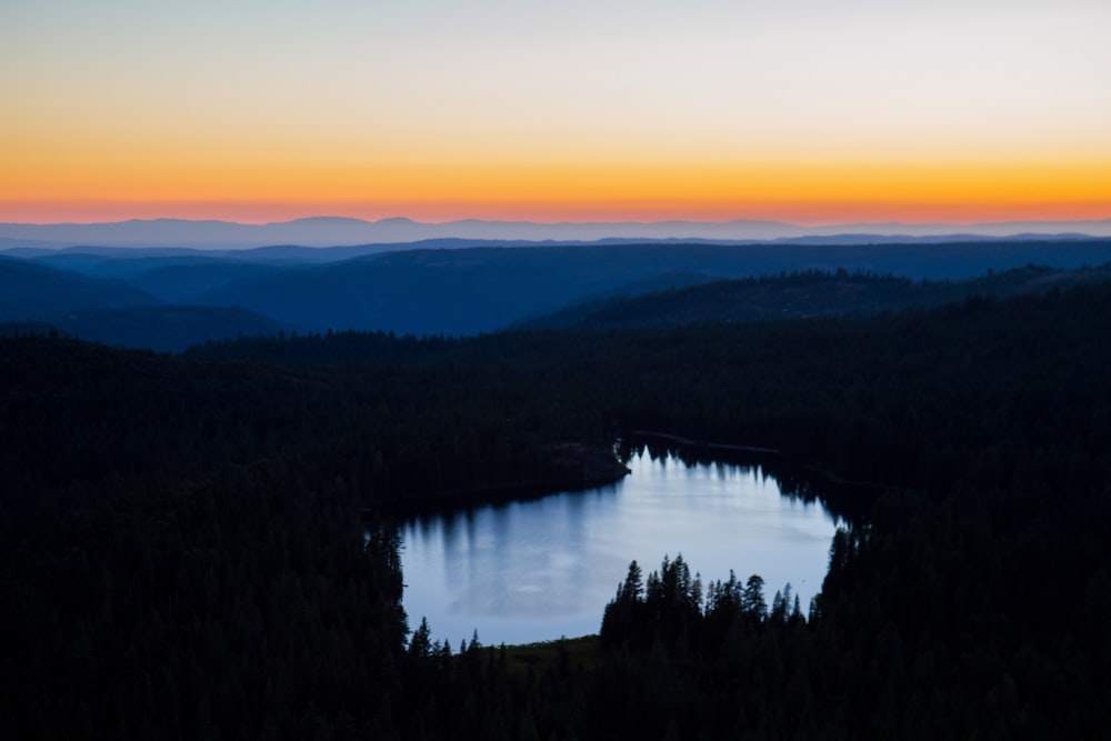 green trees near body of water during sunset