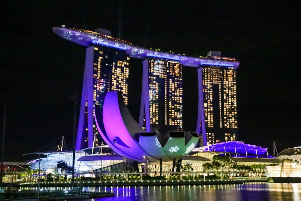 purple and blue lighted building during night time