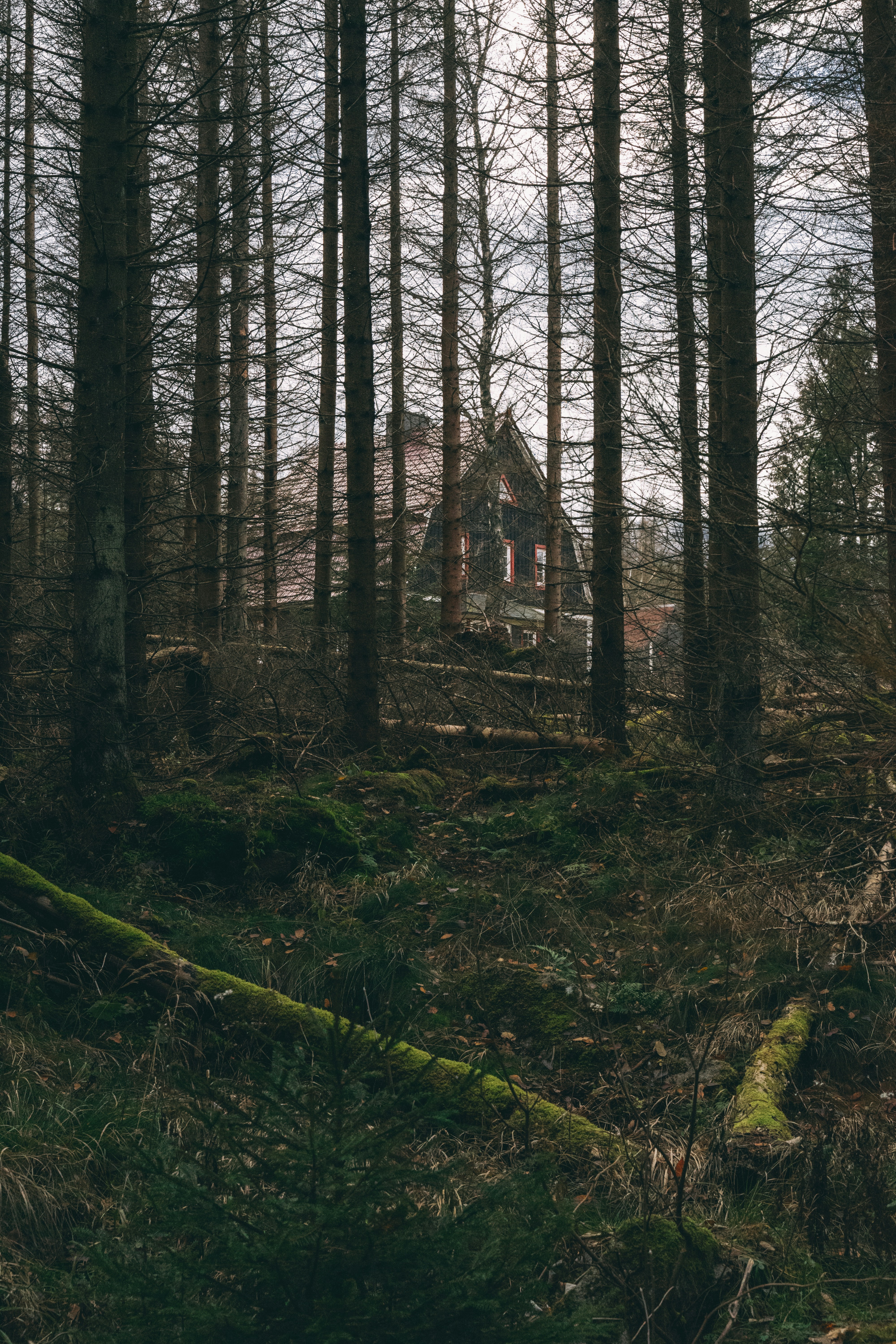Photo by knnslens