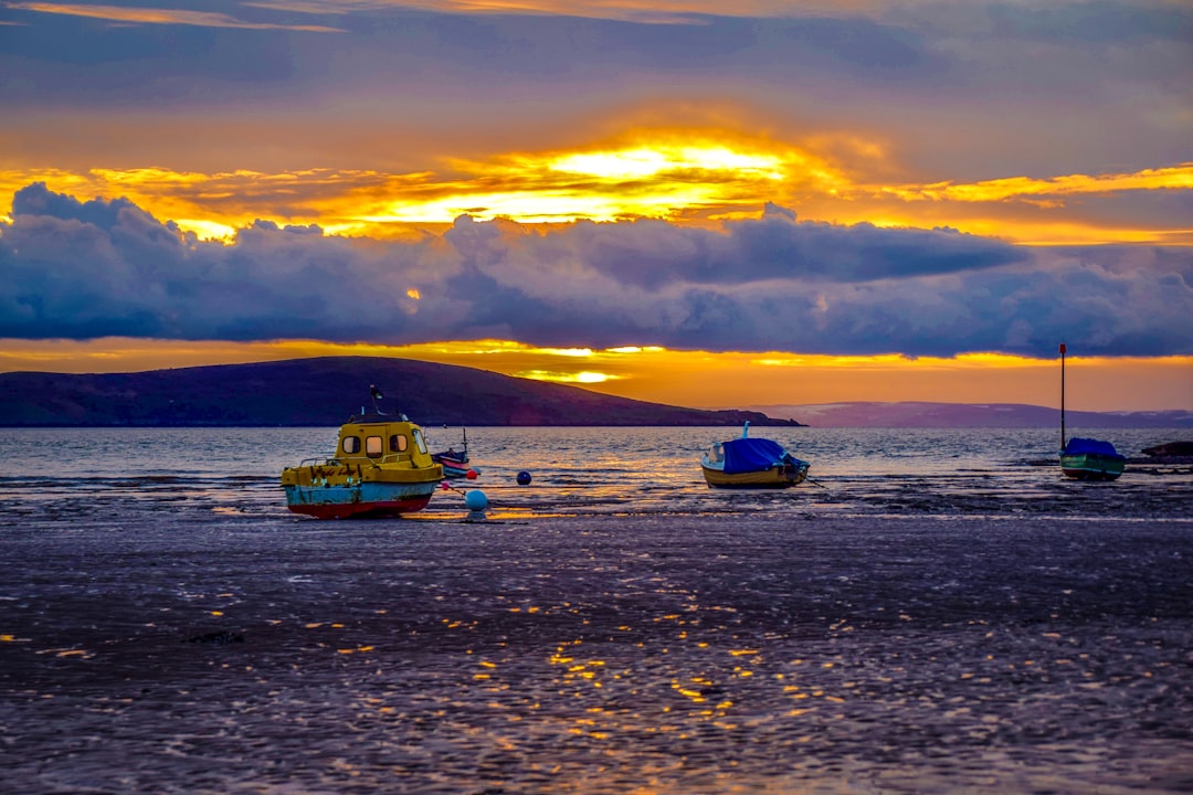 white and blue boat on sea during sunset