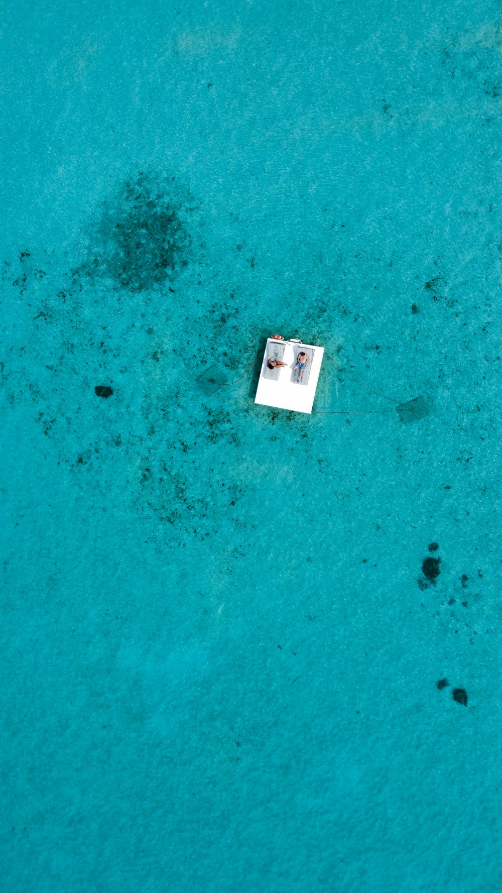 white and black box on blue surface