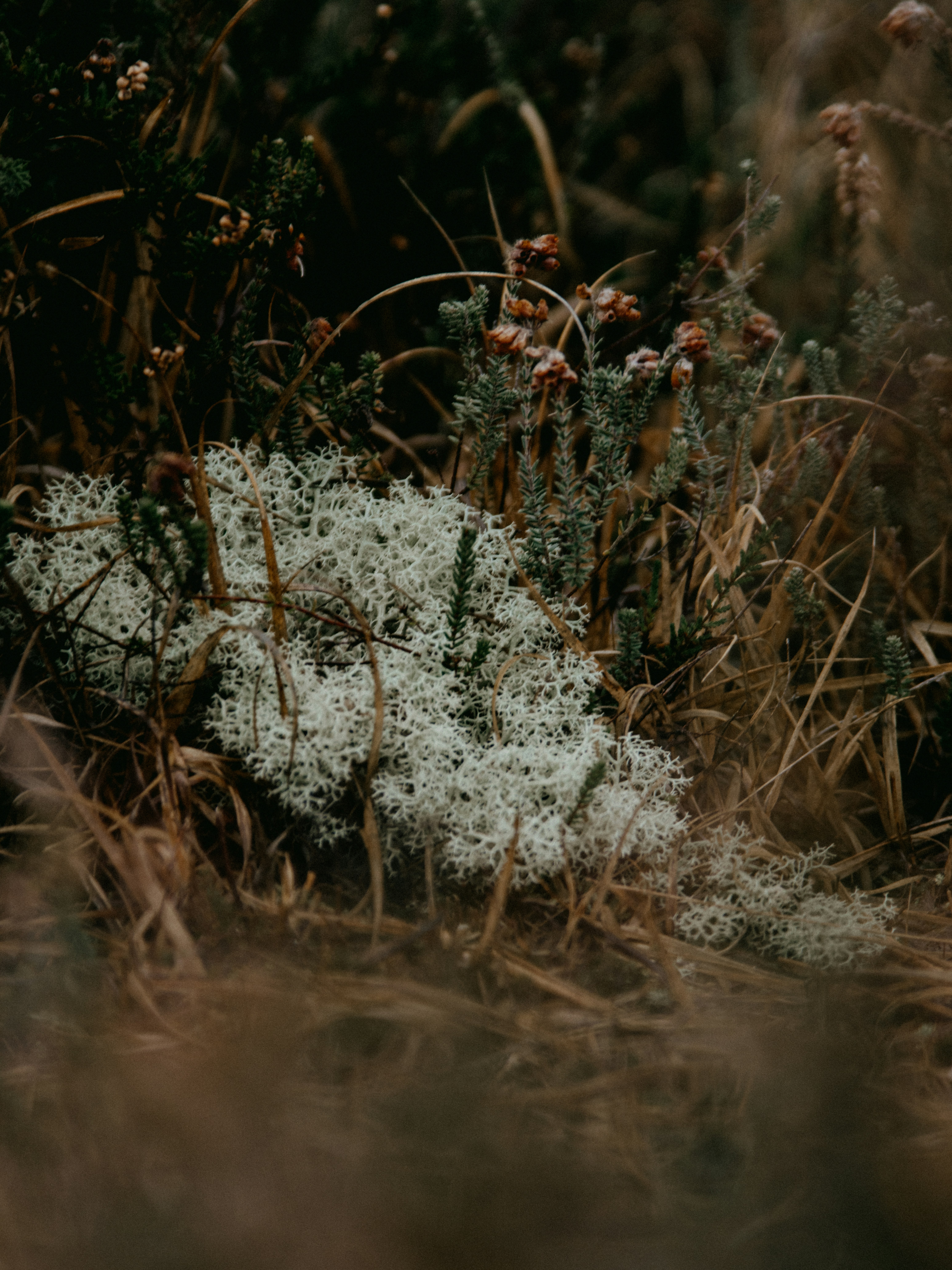 Photo by anniespratt