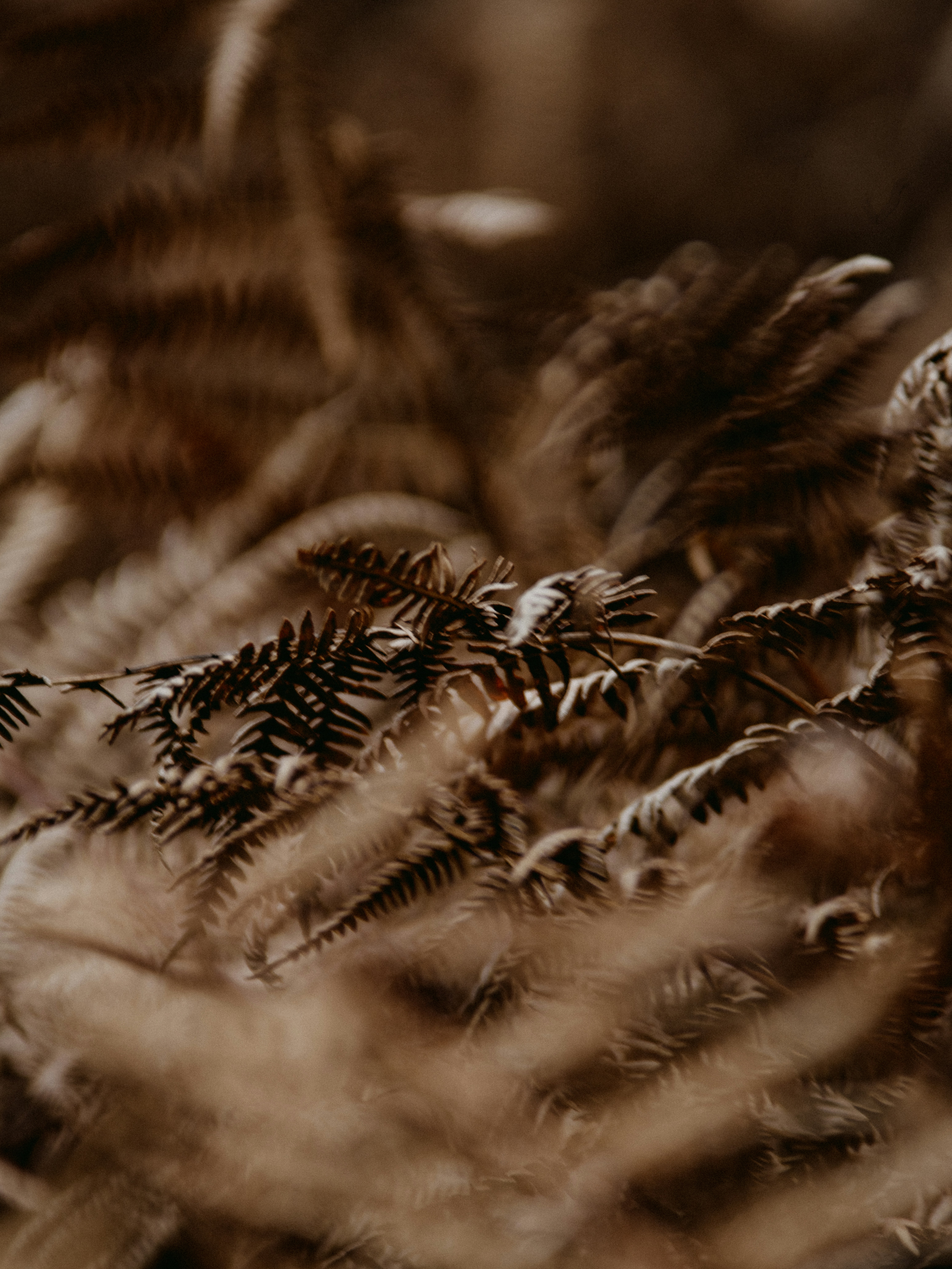 Photo by anniespratt