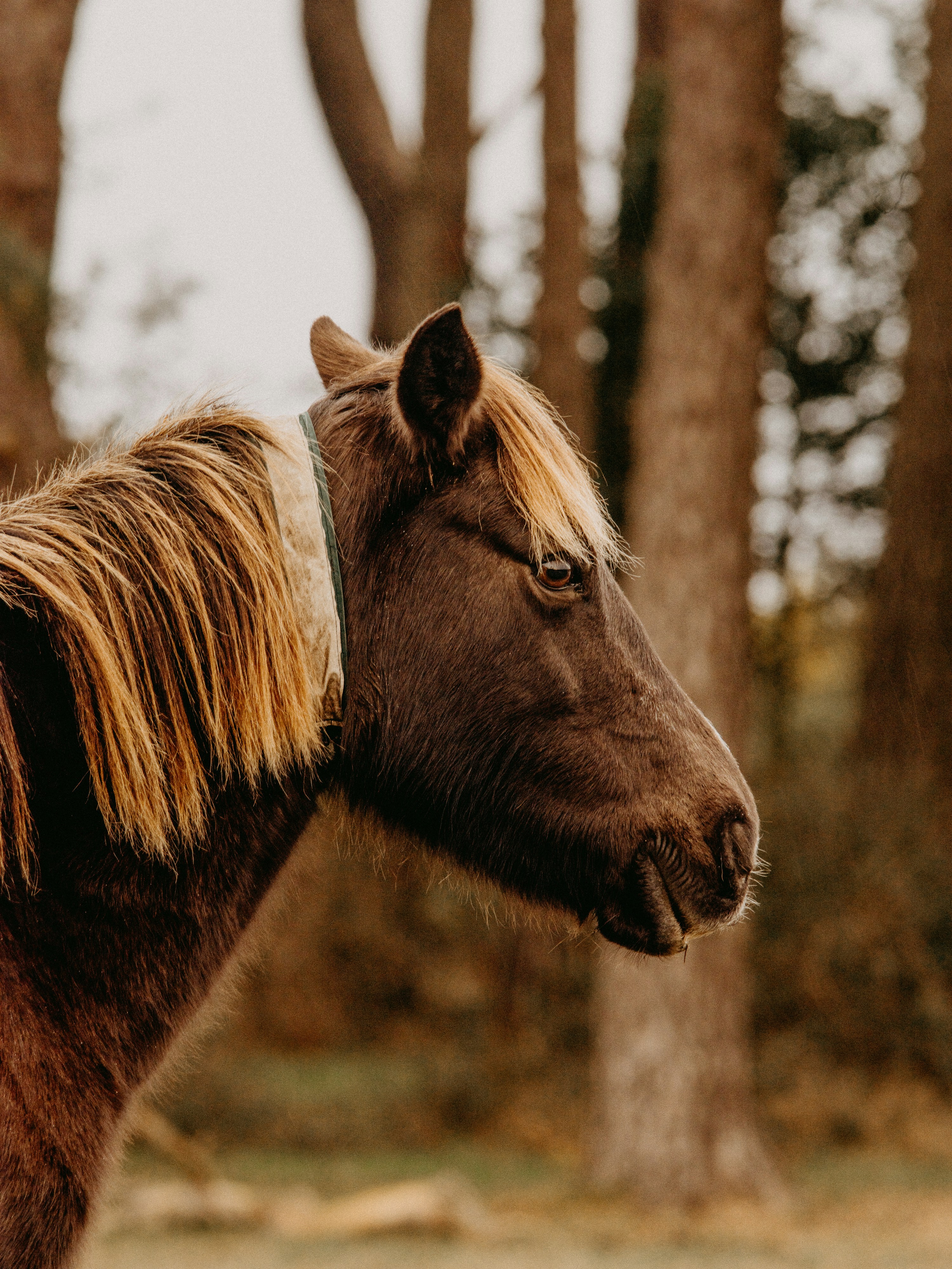 Photo by anniespratt