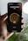 A hand is holding a smartphone displaying a smart lighting app. The screen shows controls for 'Living Room lights' with brightness set at 70%. The app has a minimalist design with a dark background and a central yellow circle indicating the brightness level. Part of a blurred plant and a bright round light are visible in the background.