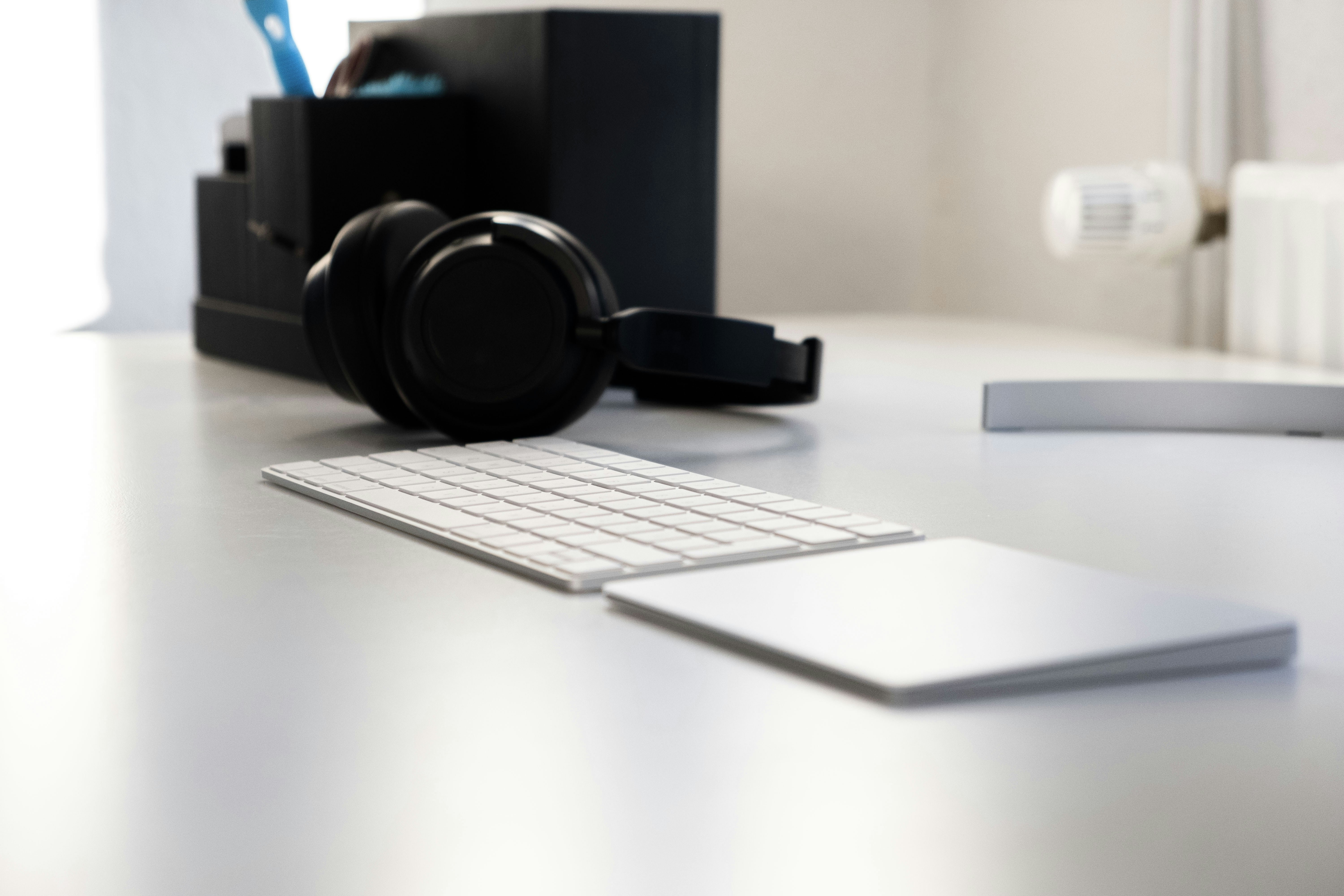 Photo by moritz_photography