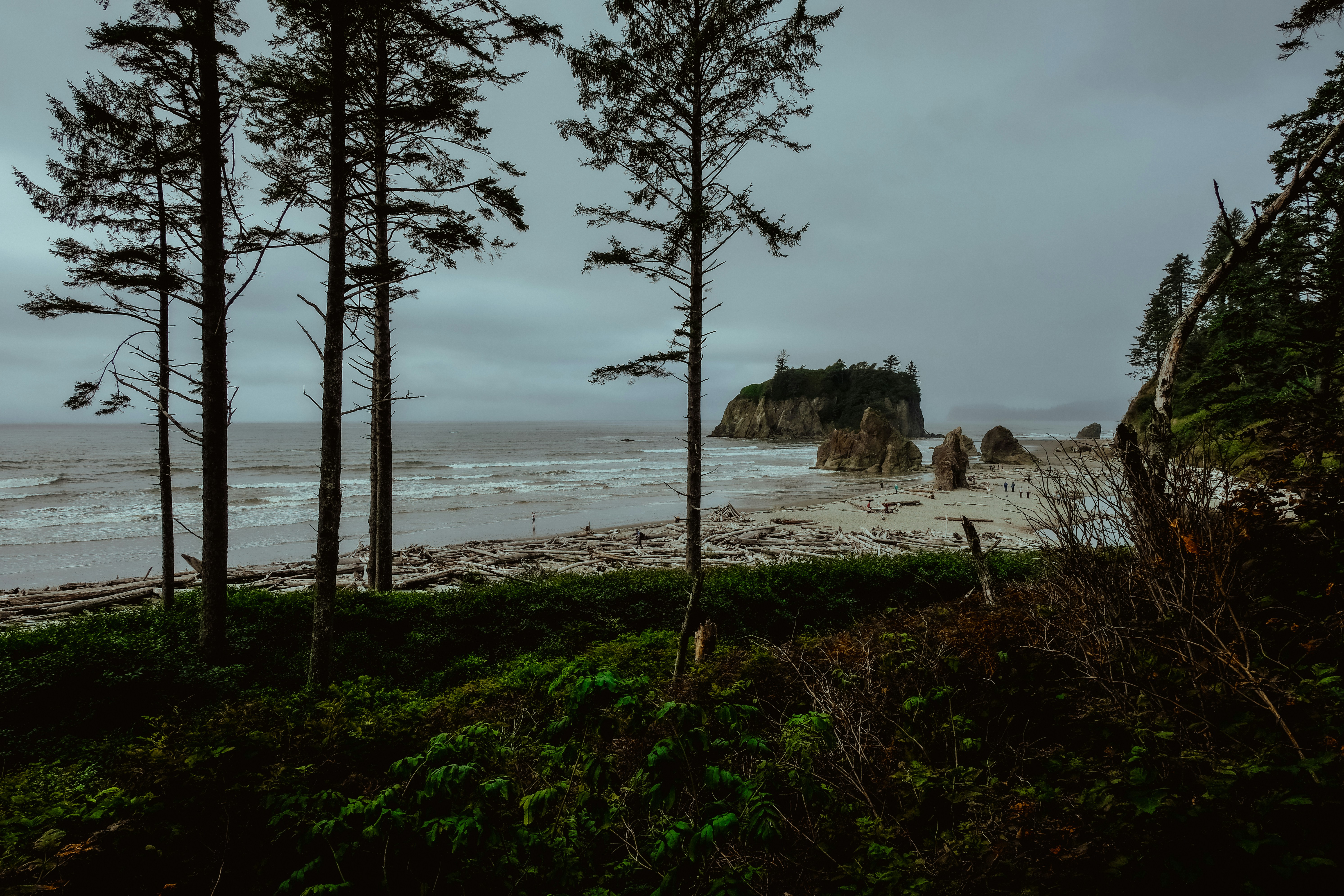 Photo by aylameinberg