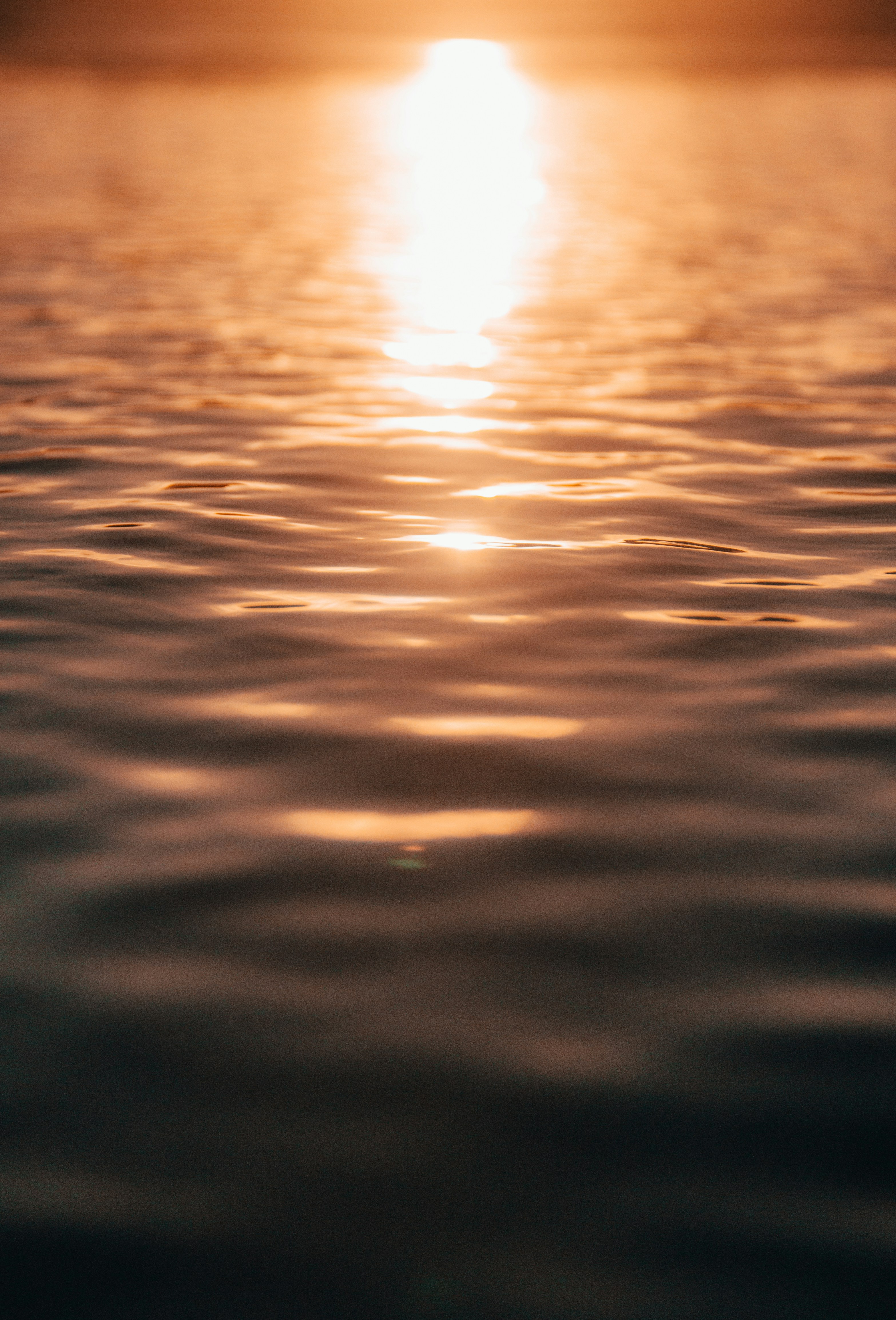 Photo by benjamin_le_roux