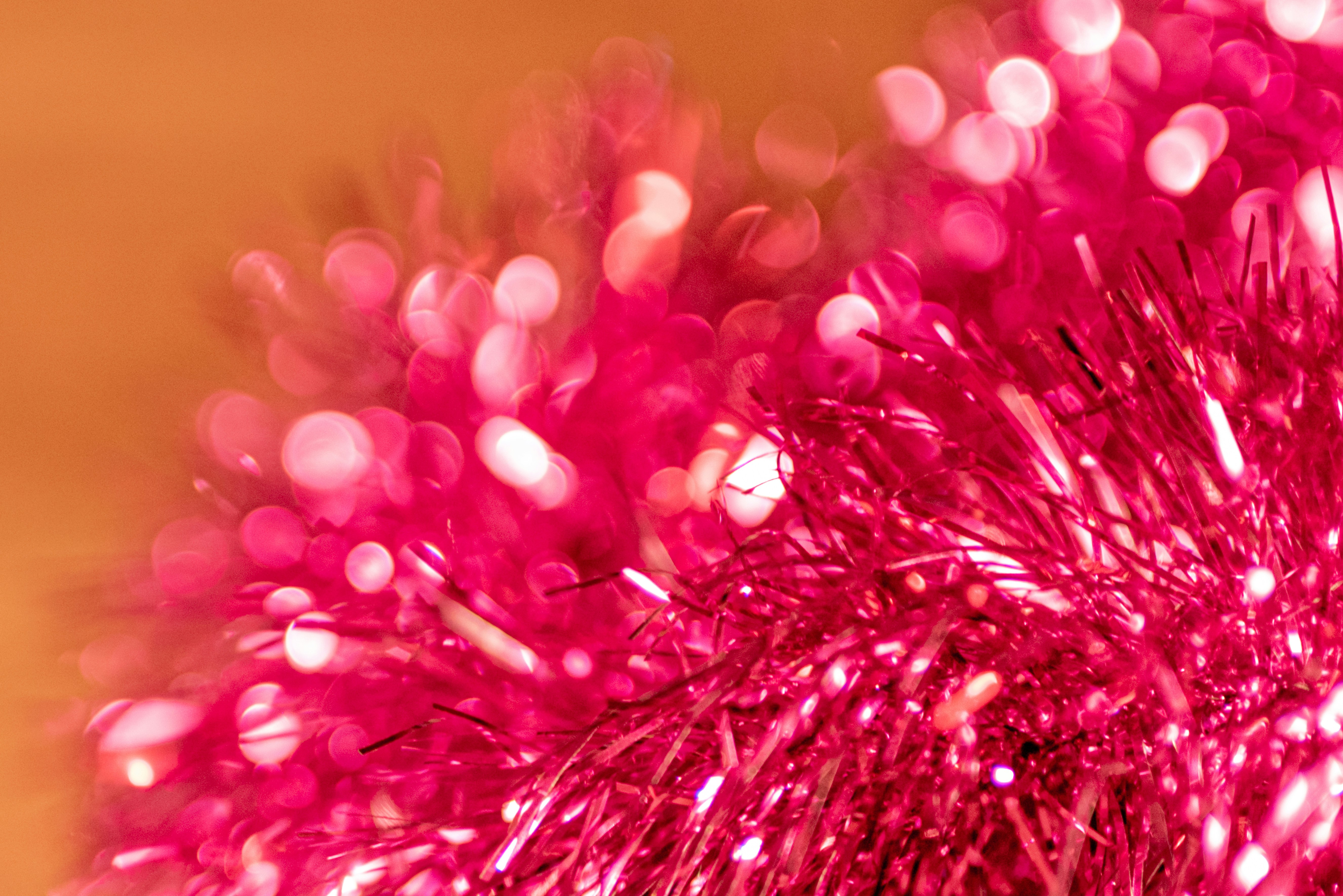 Photo by lauraadaiphoto