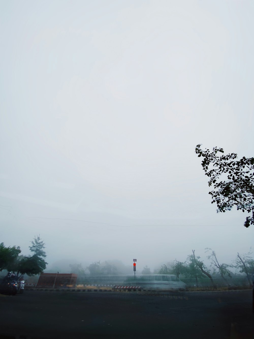 green trees near road during daytime